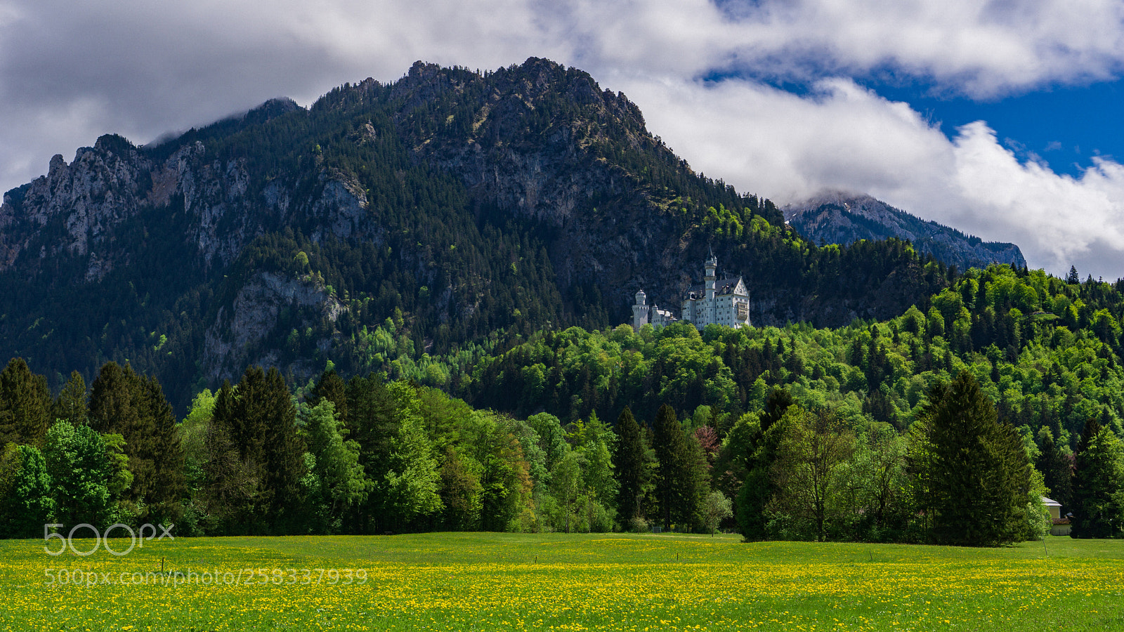 Sony a6000 sample photo. Neuschwanstein photography