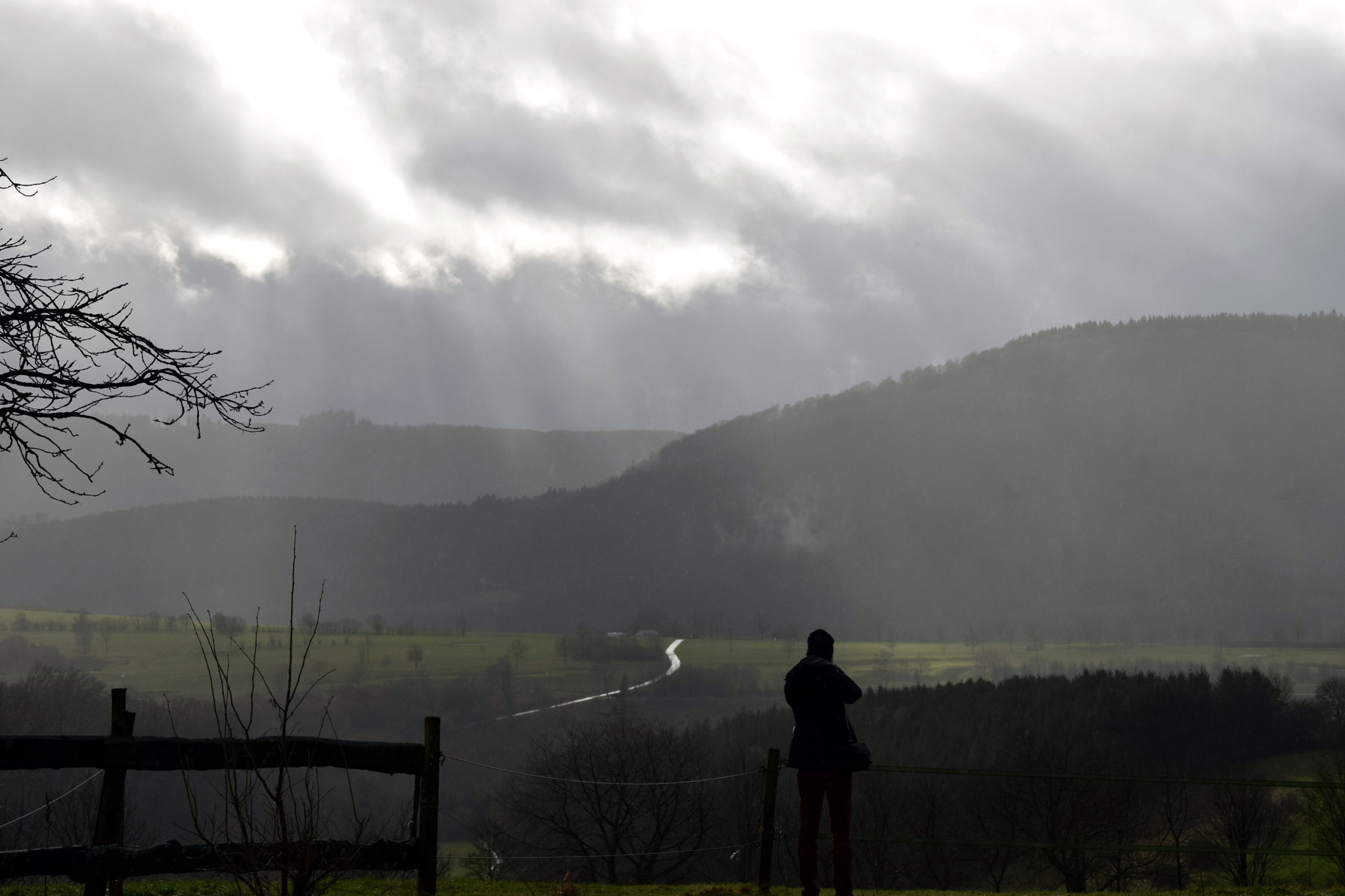 Nikon D5300 sample photo. After the rain photography