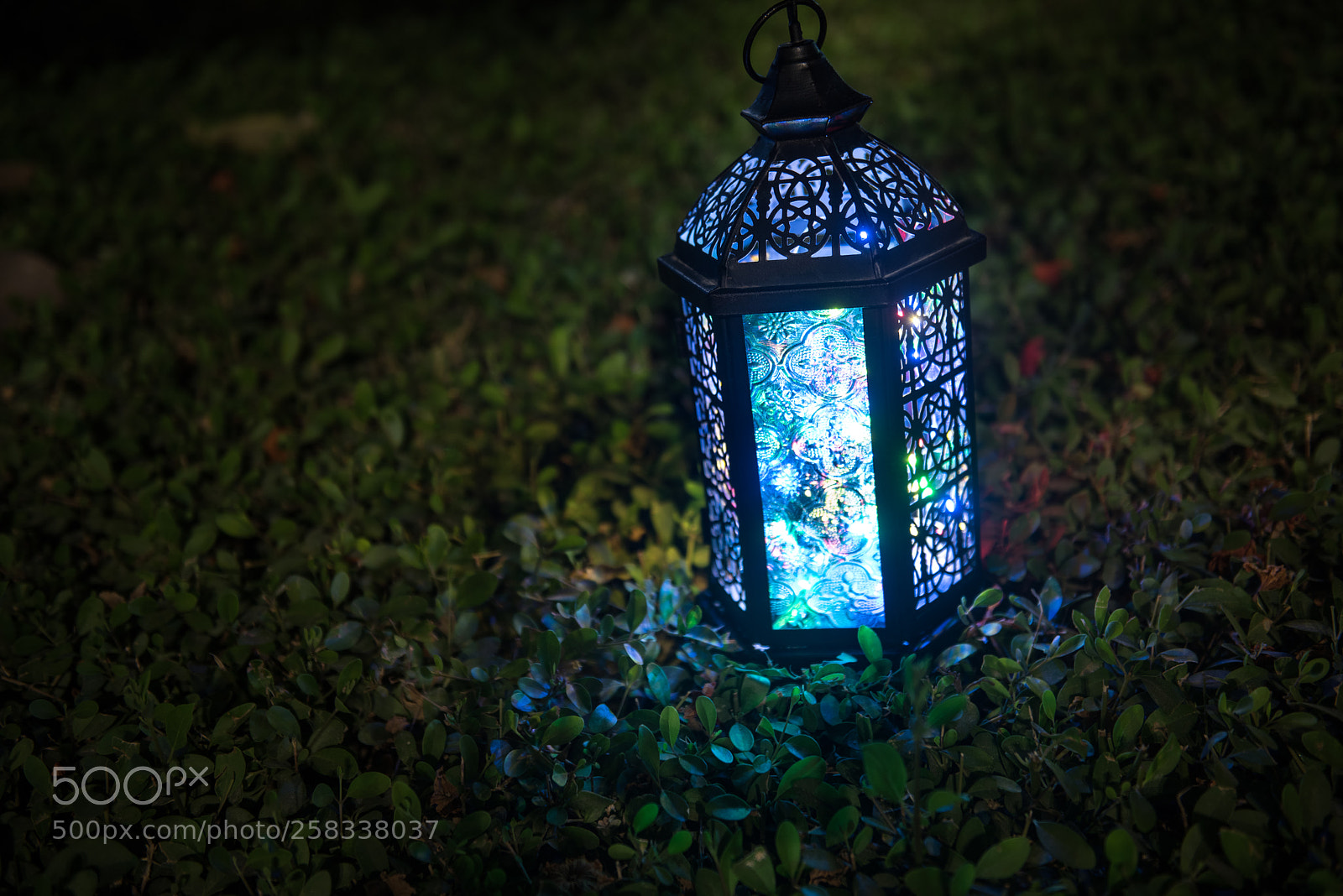 Nikon D810 sample photo. Fanoos photography