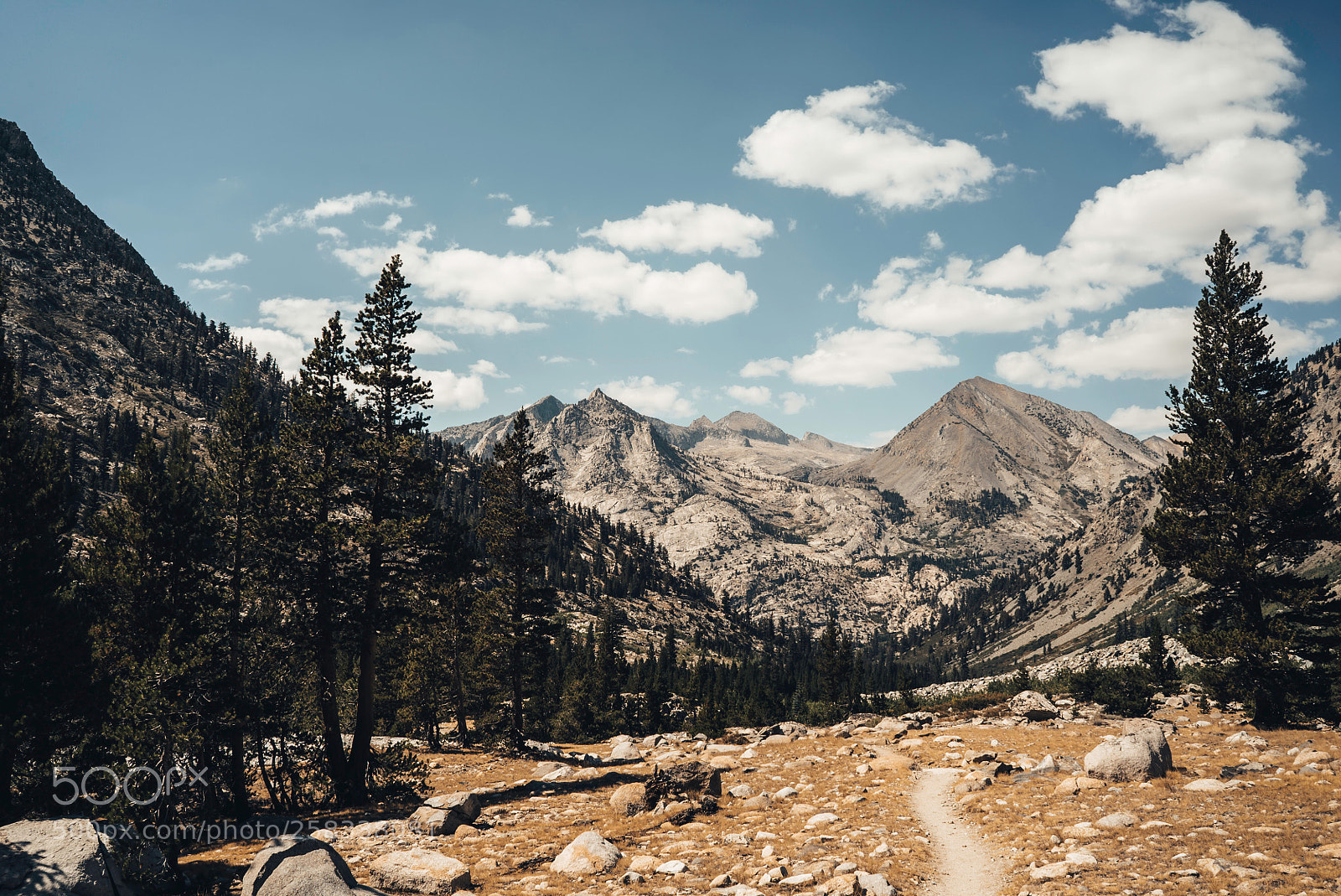 Sony a7S II sample photo. The trail ahead photography