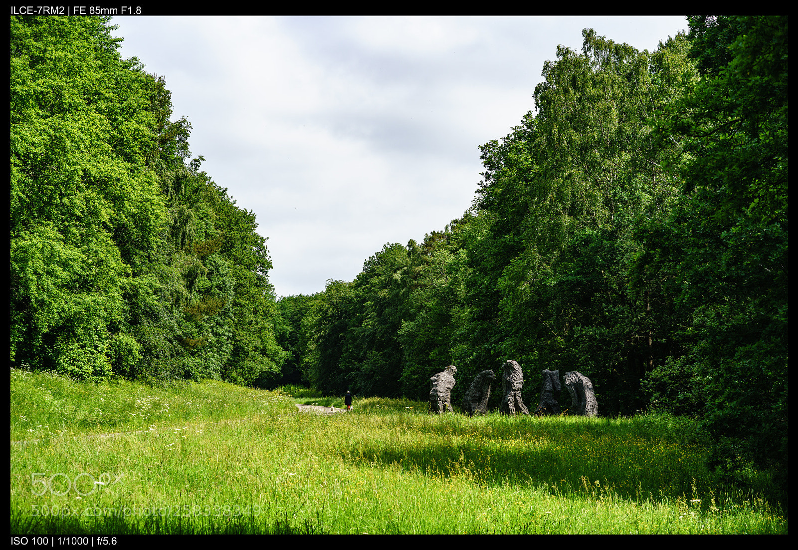 Sony a7R II sample photo. Sart tilman woods photography