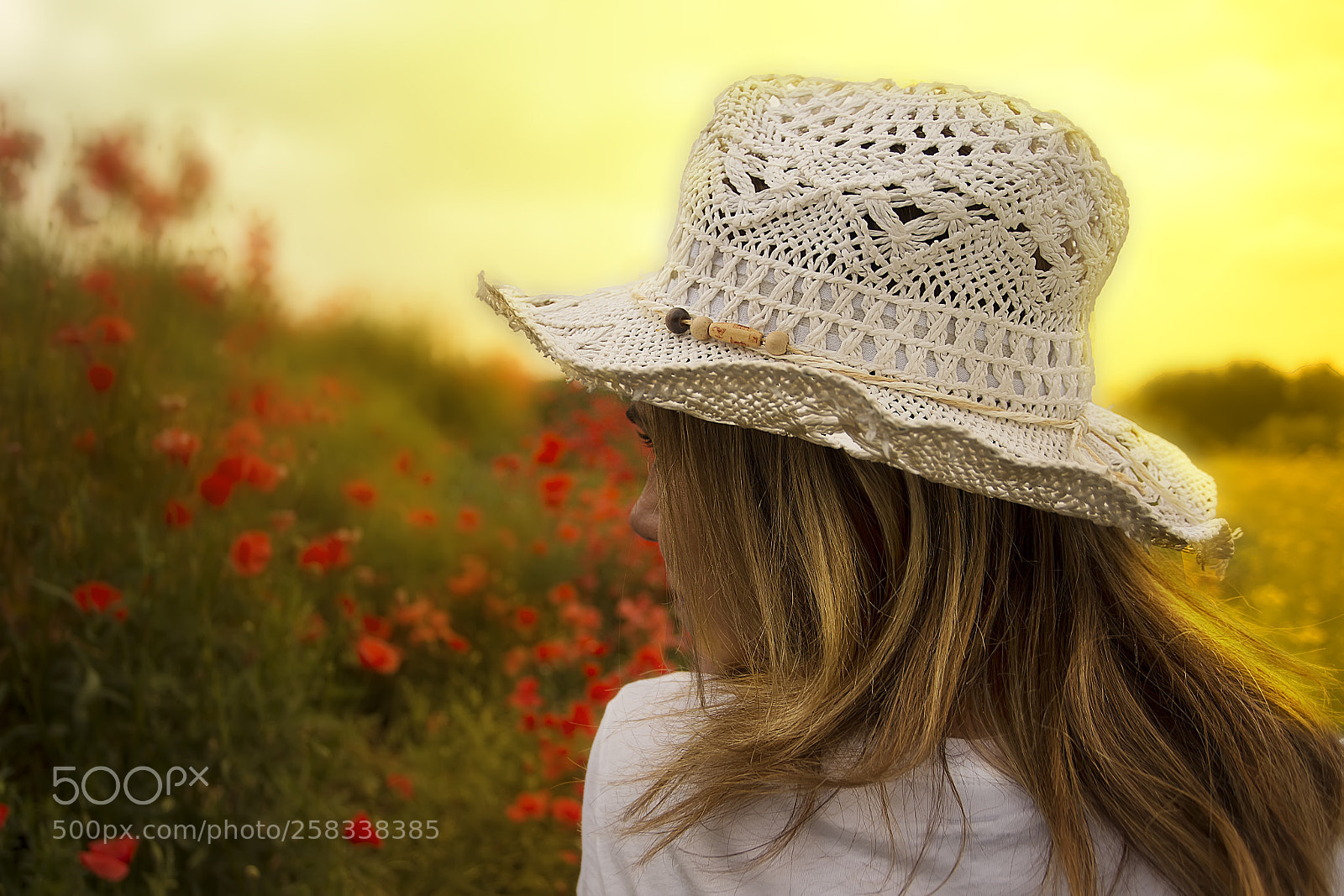 Canon EOS 6D sample photo. Yellow photography