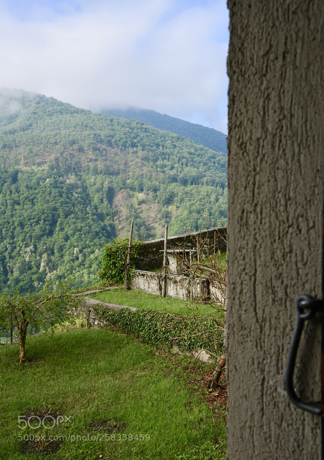 Nikon D850 sample photo. Window  photography