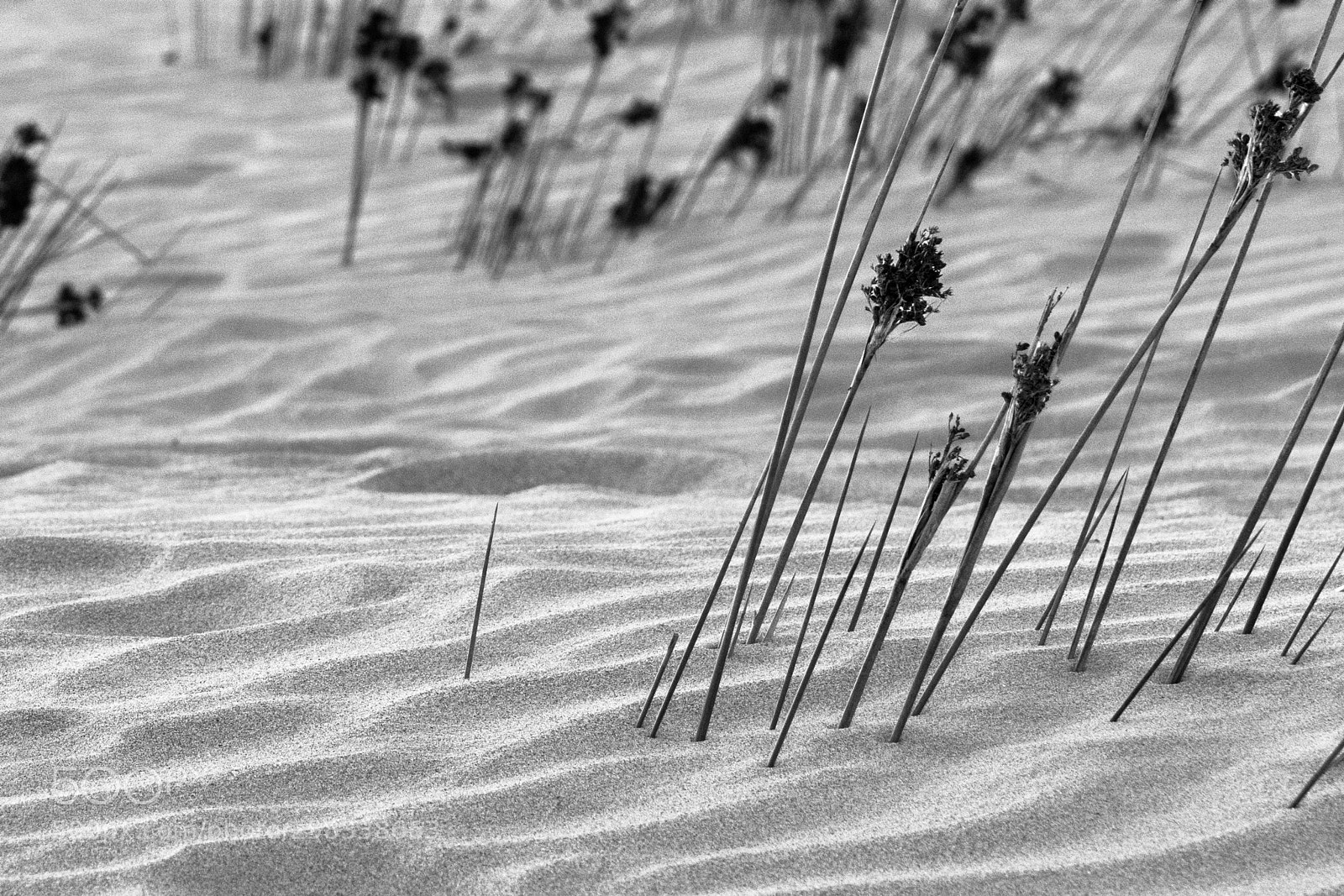 Nikon D5300 sample photo. Playas de conil photography