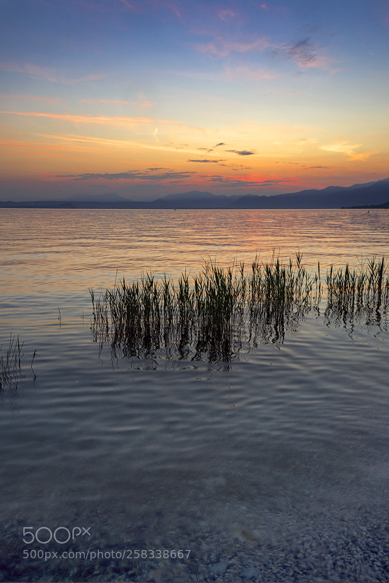 Nikon D7200 sample photo. Sunset photography
