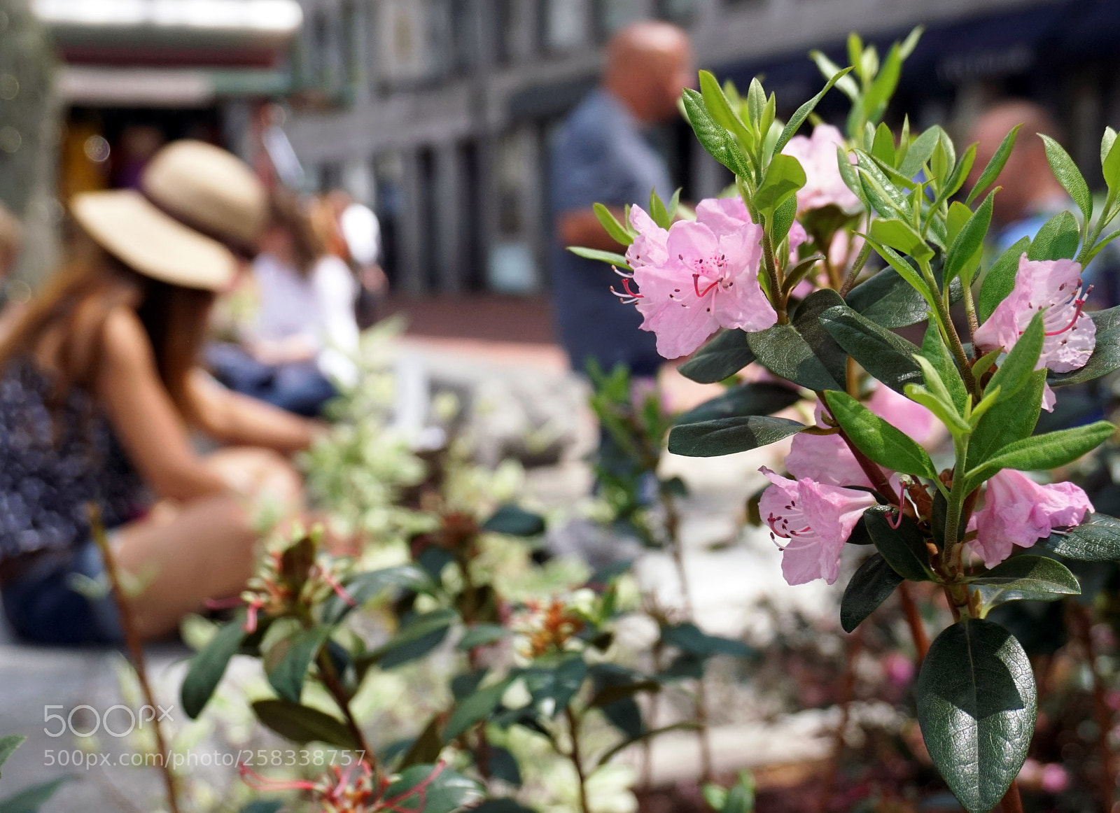 Sony a6500 sample photo. A shot of quincy photography