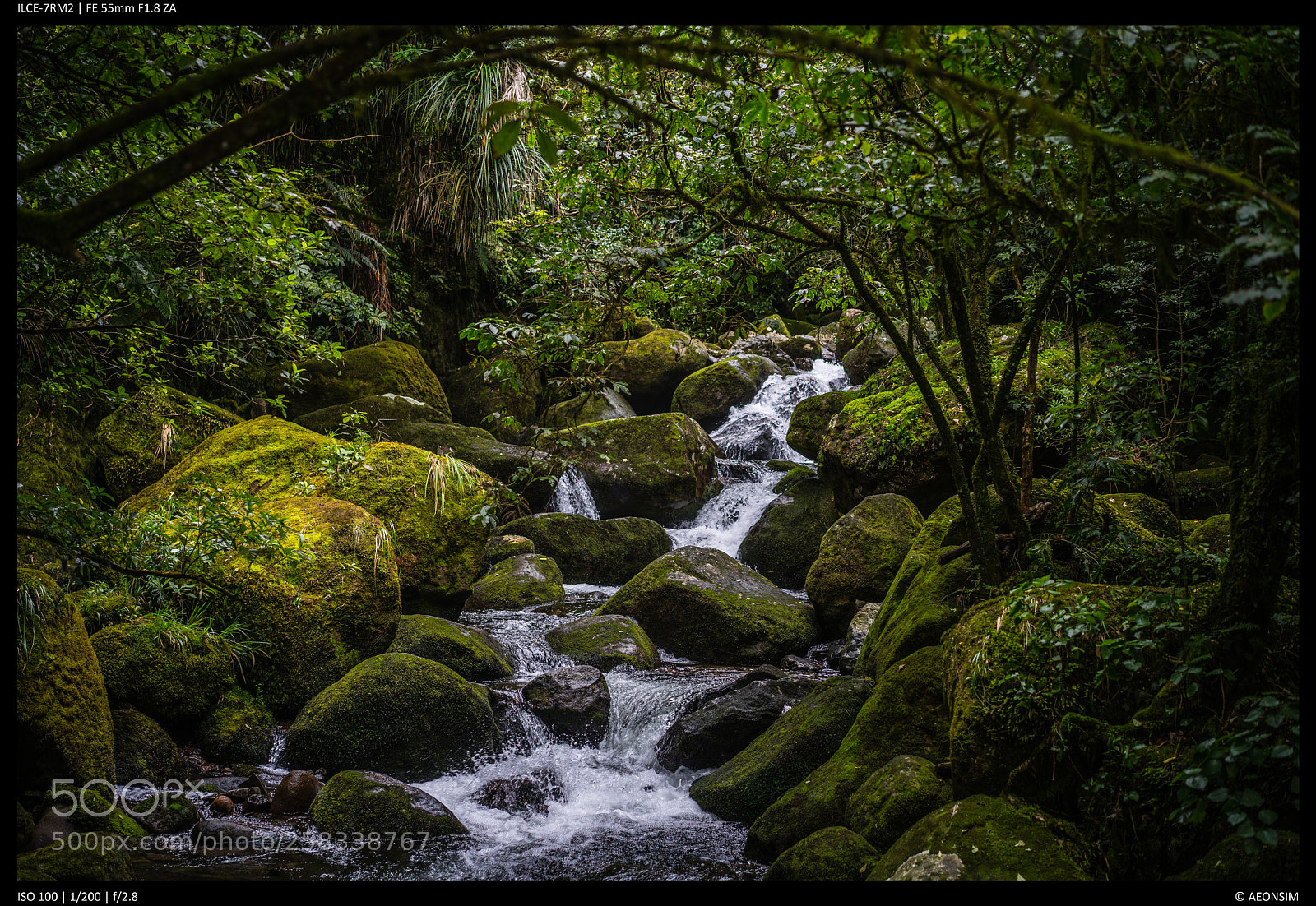 Sony a7R II sample photo. Water in the bush photography