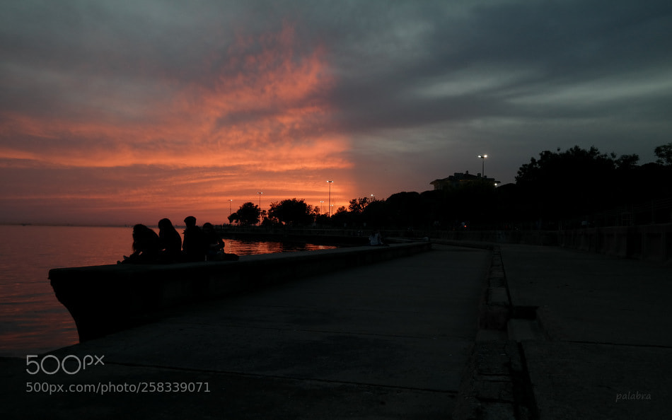 Samsung NX300 sample photo. ... photography
