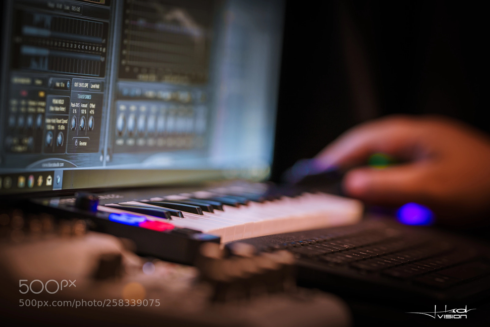 Sony a7R II sample photo. Lack of photography