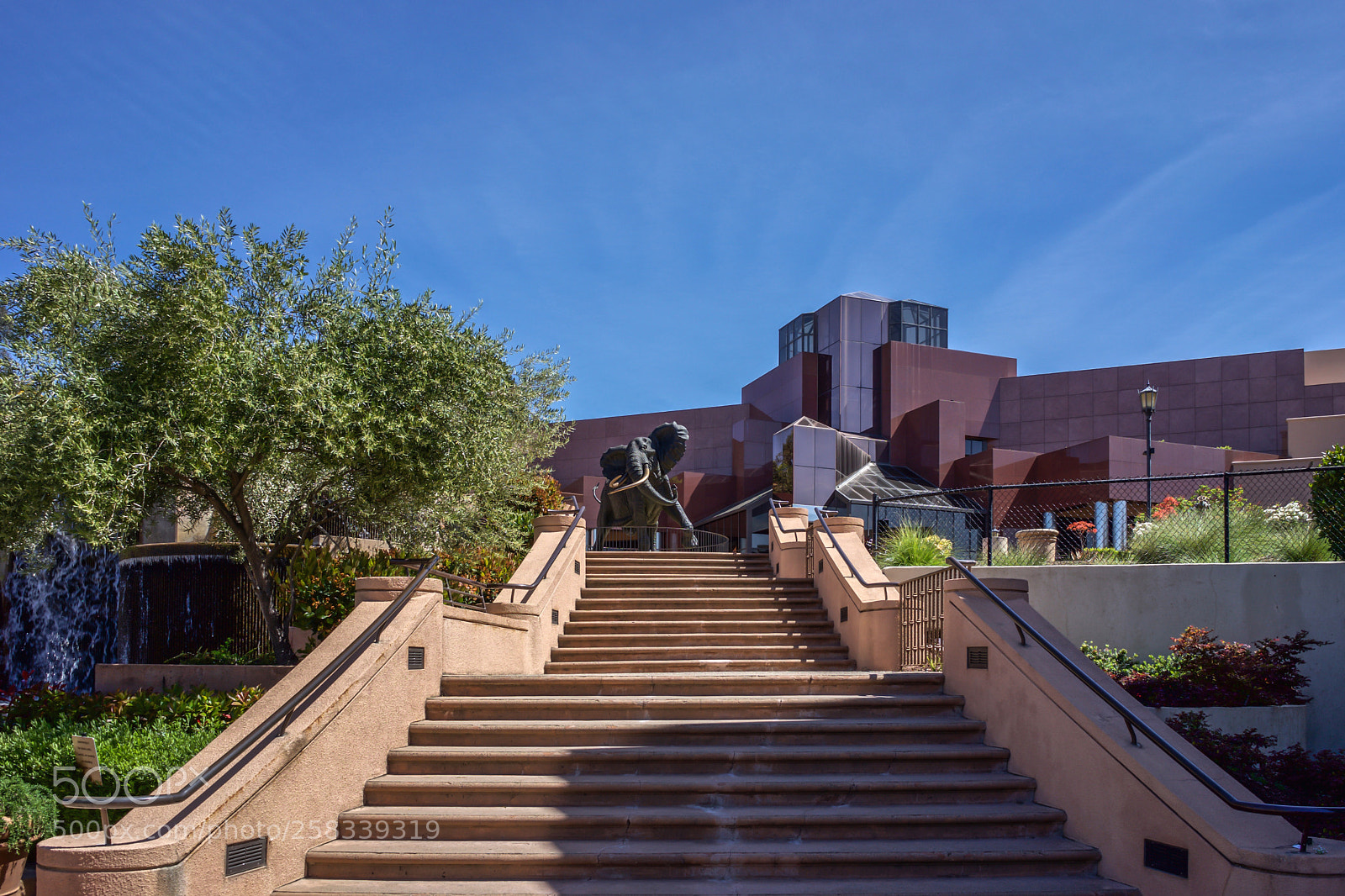 Sony a7 sample photo. Blackhawk museum danville, ca photography