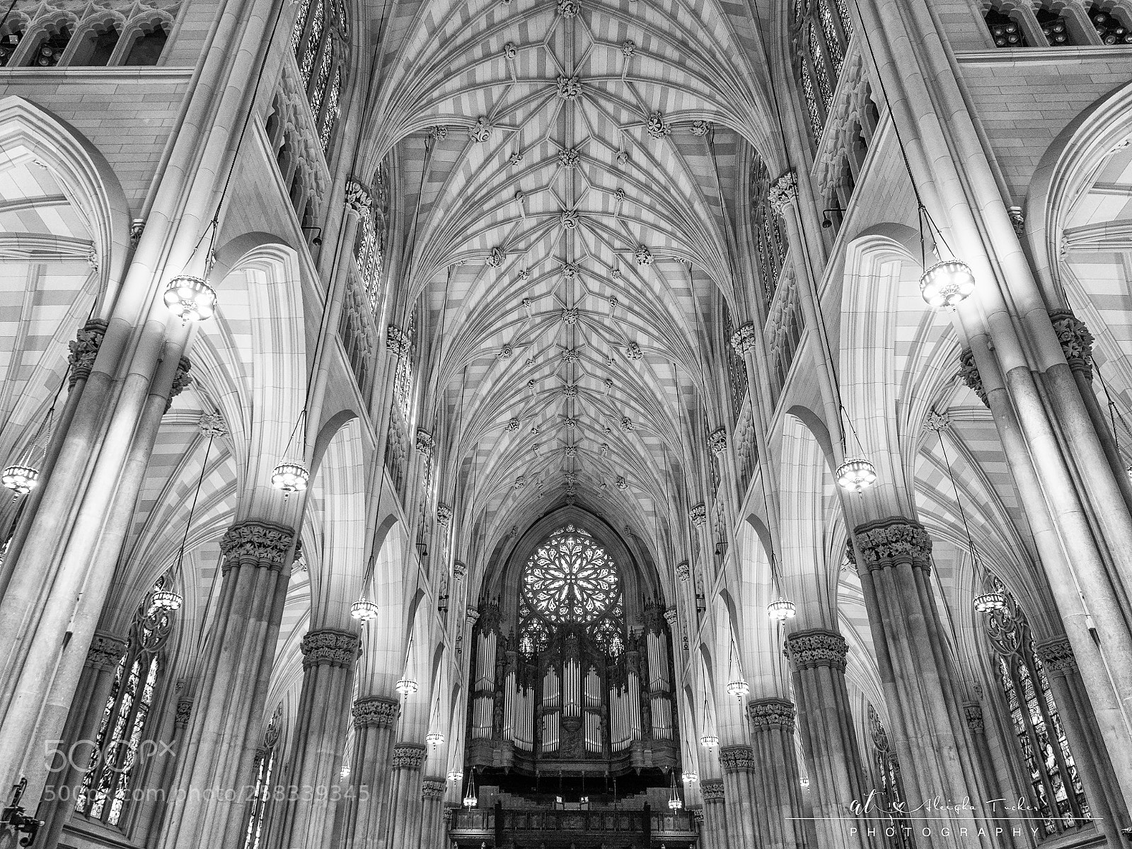 Olympus OM-D E-M5 II sample photo. St patrick's cathedral photography