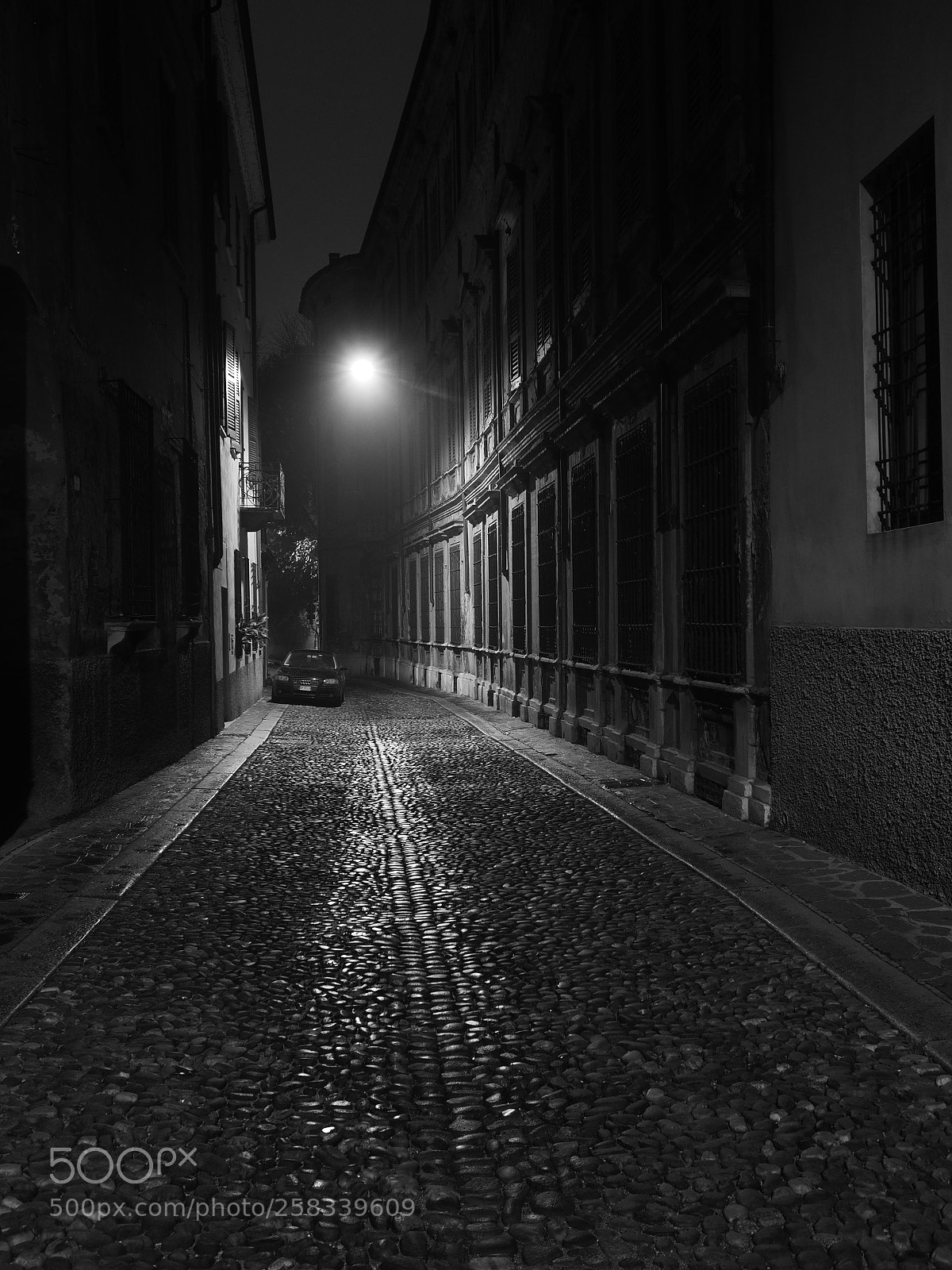 Olympus OM-D E-M1 Mark II sample photo. Mantova 17pb291397 0k em1ii photography