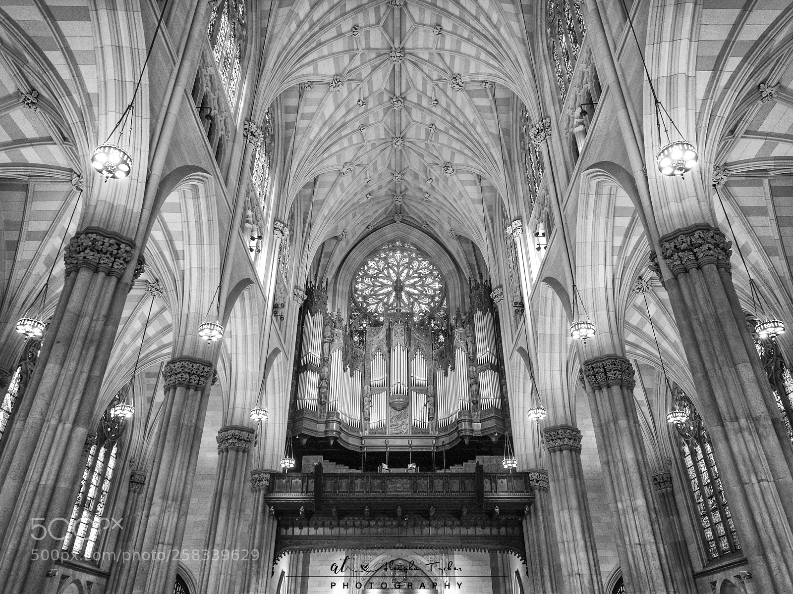 Olympus OM-D E-M5 II sample photo. St patrick's cathedral photography