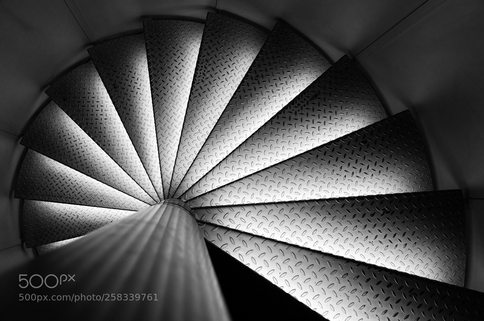 Sony a7 II sample photo. Ammonite photography