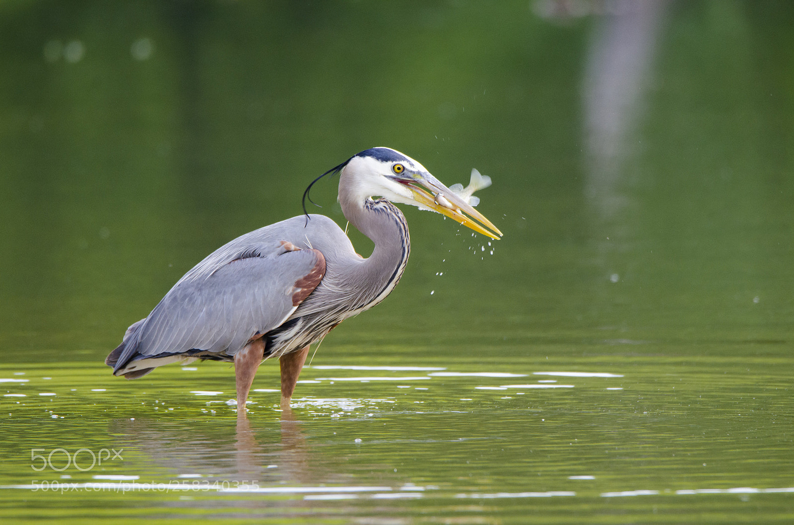 Nikon D7000 sample photo. Breakfast time for a photography