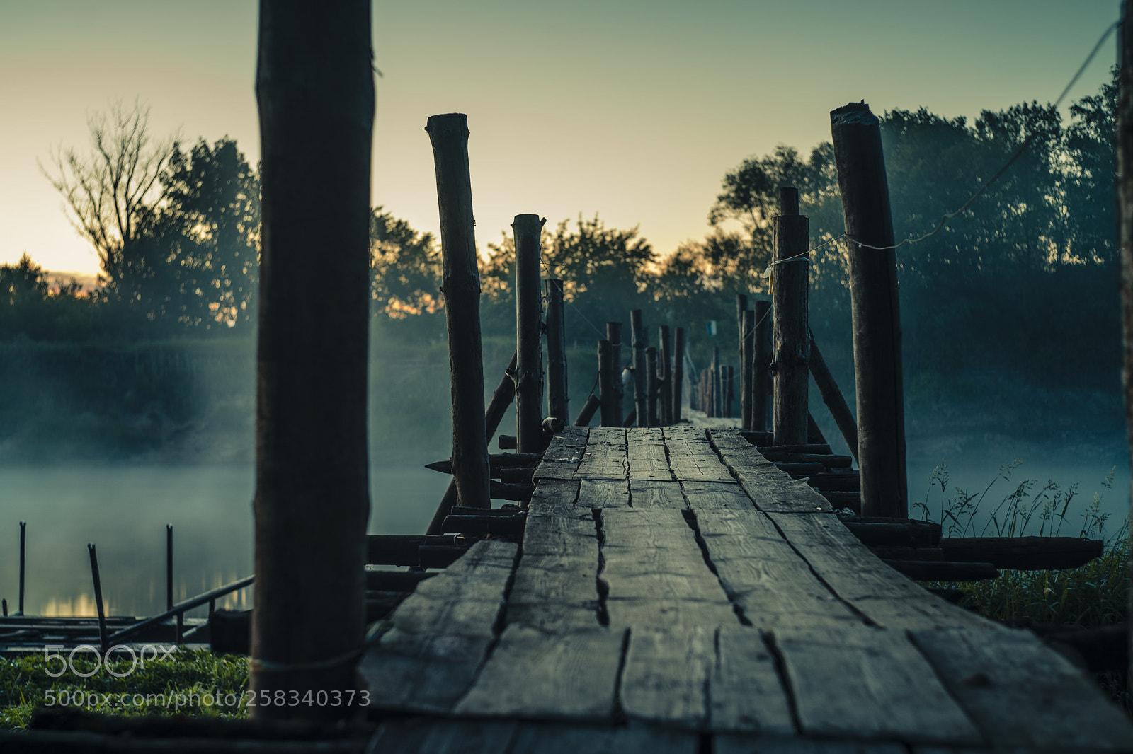 Nikon D600 sample photo. Fog way photography