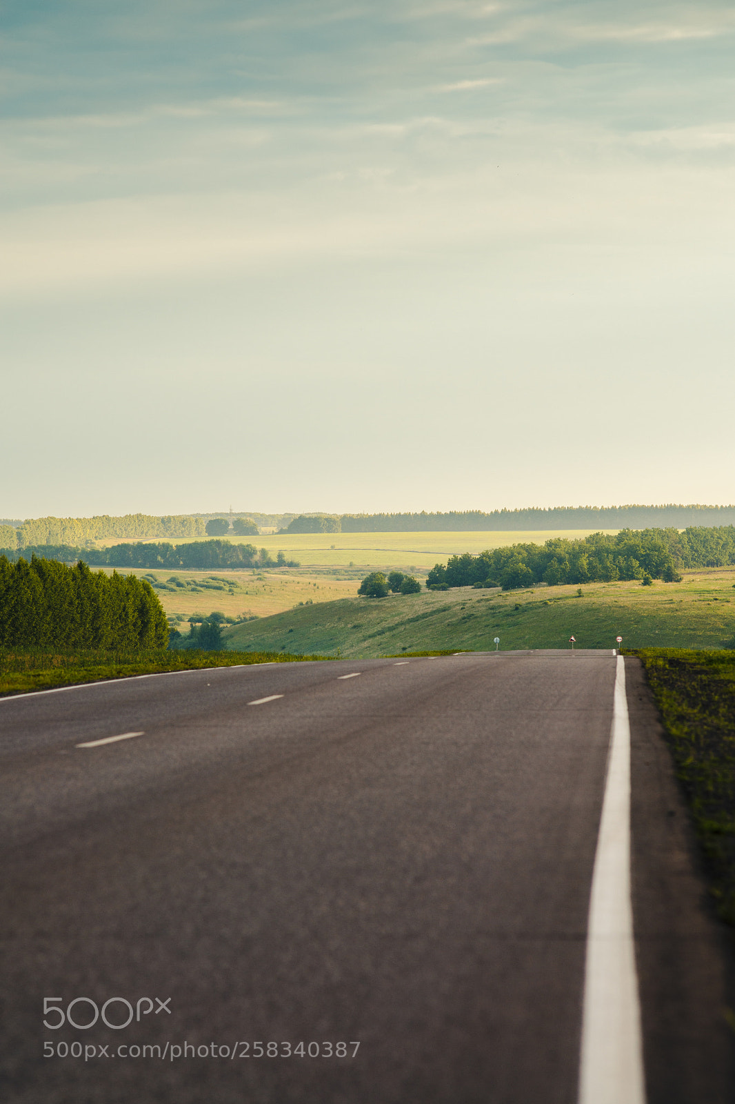 Nikon D600 sample photo. Morning road photography