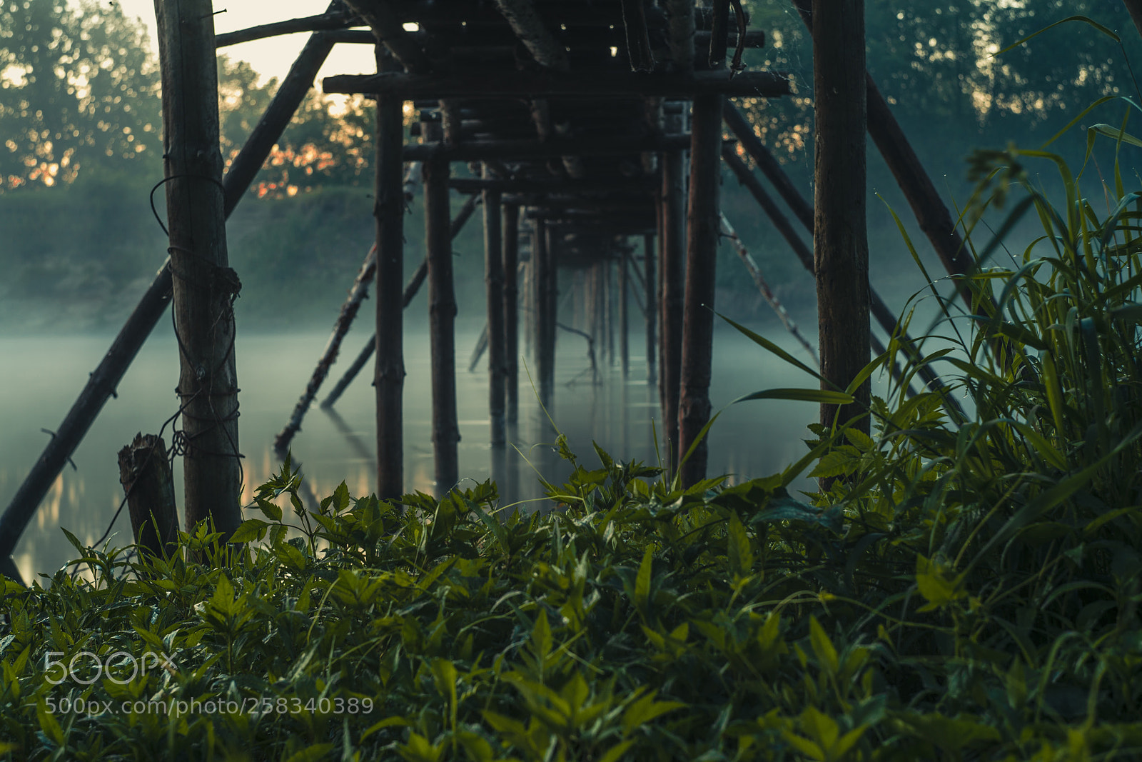 Nikon D600 sample photo. Green bridge photography