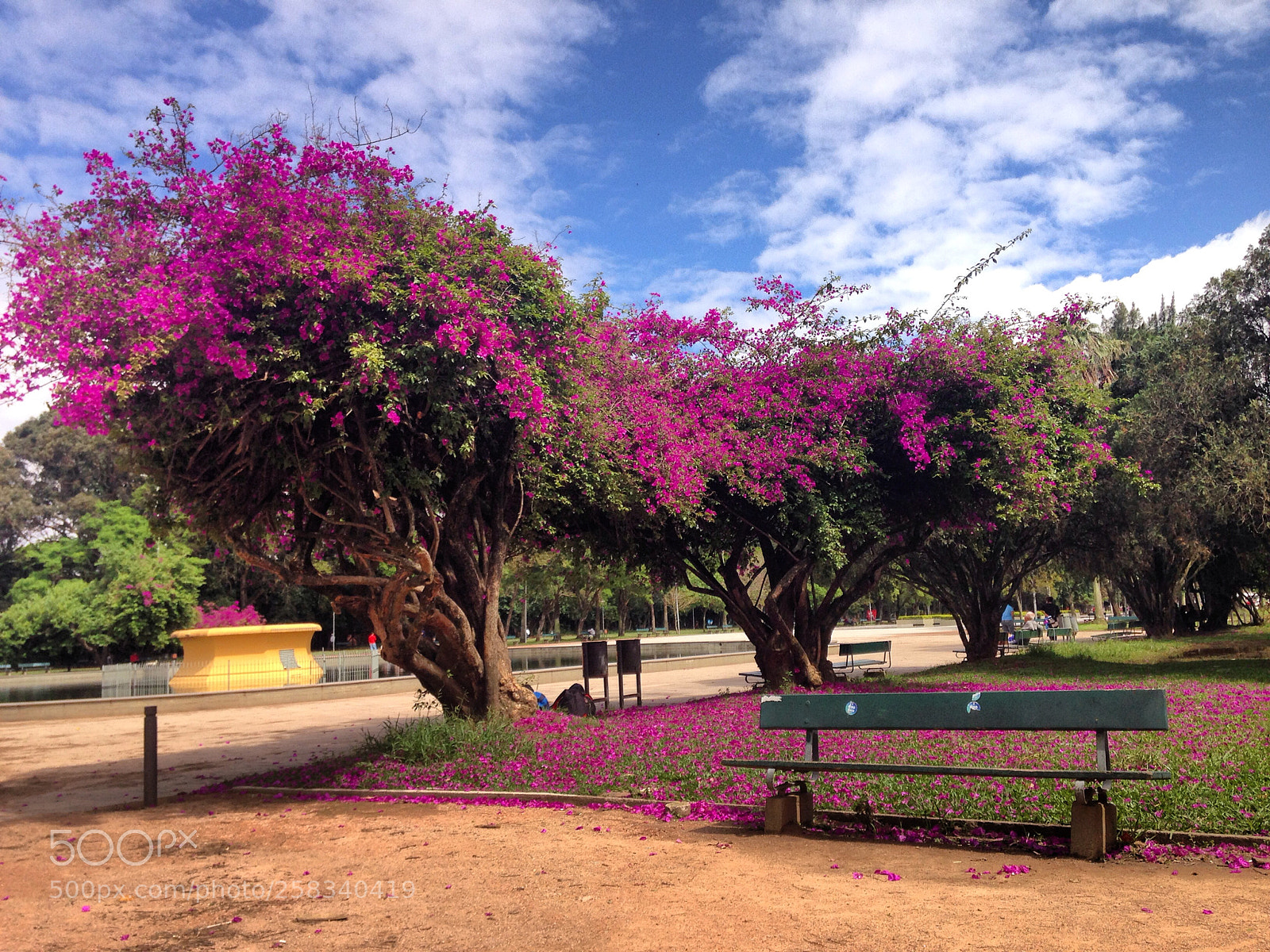 Apple iPhone 5 sample photo. Img photography