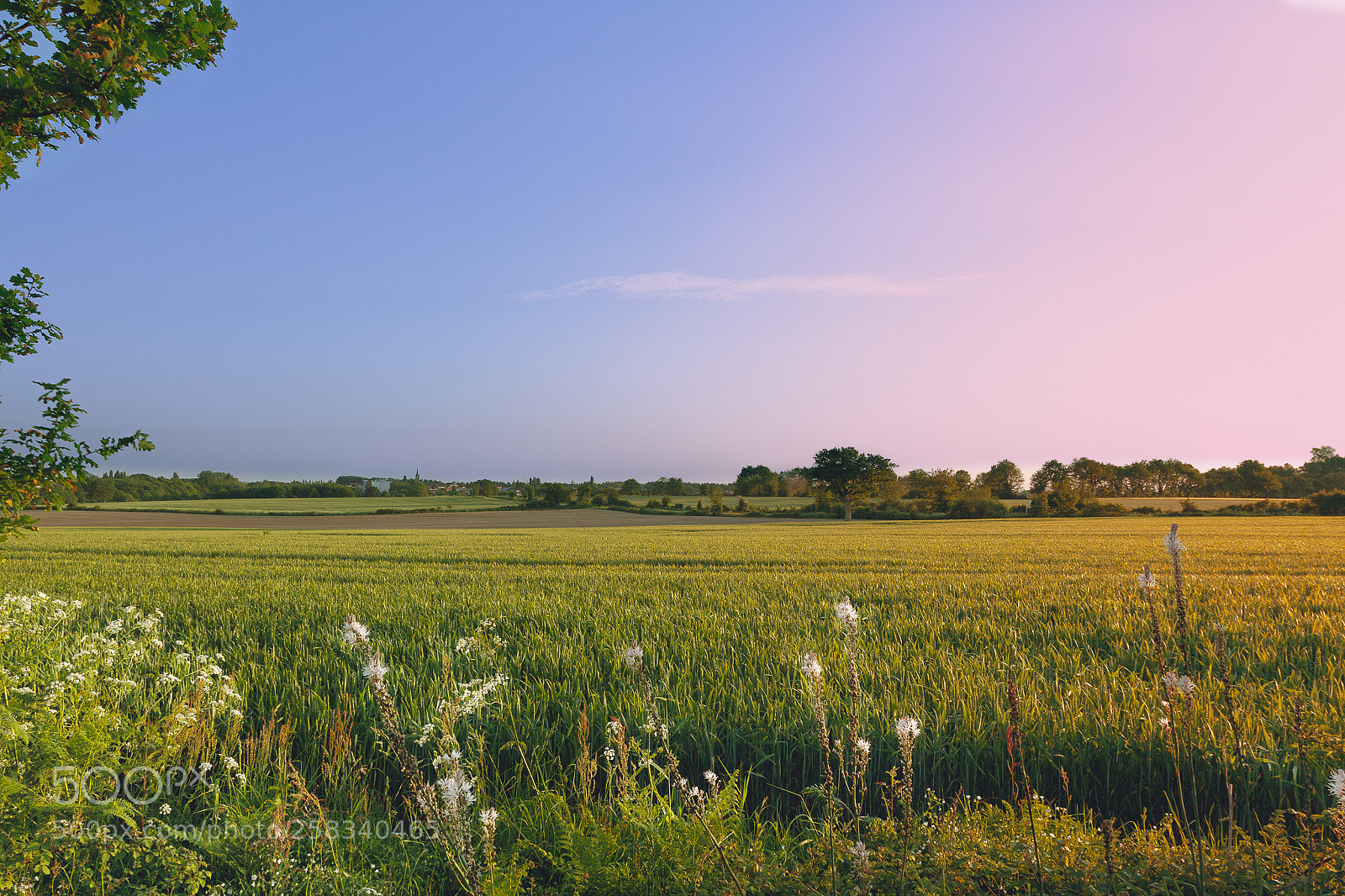 Canon EOS 7D sample photo. Pâté de campagne photography
