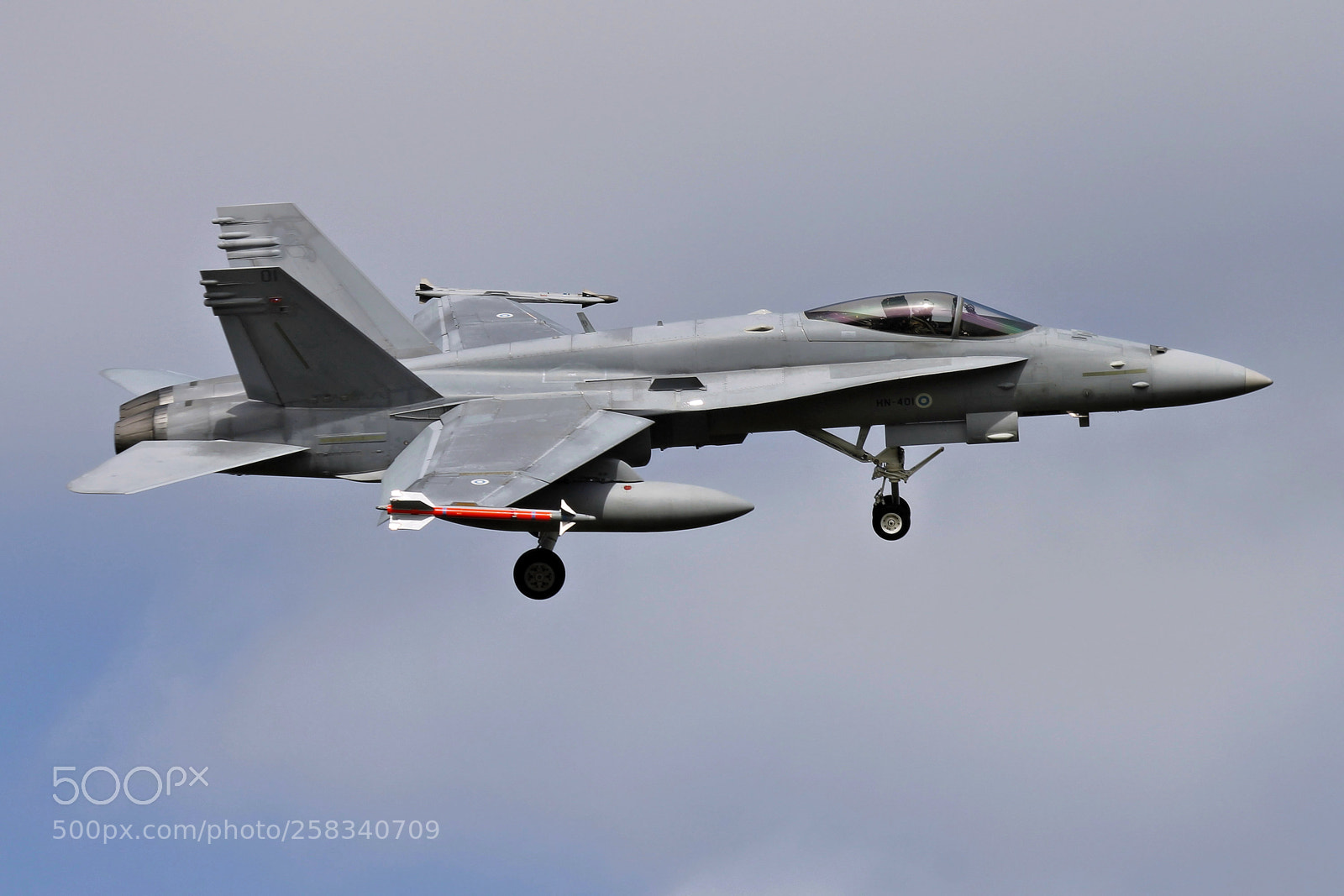 Canon EOS 1100D (EOS Rebel T3 / EOS Kiss X50) sample photo. Incoming finnish hornet photography