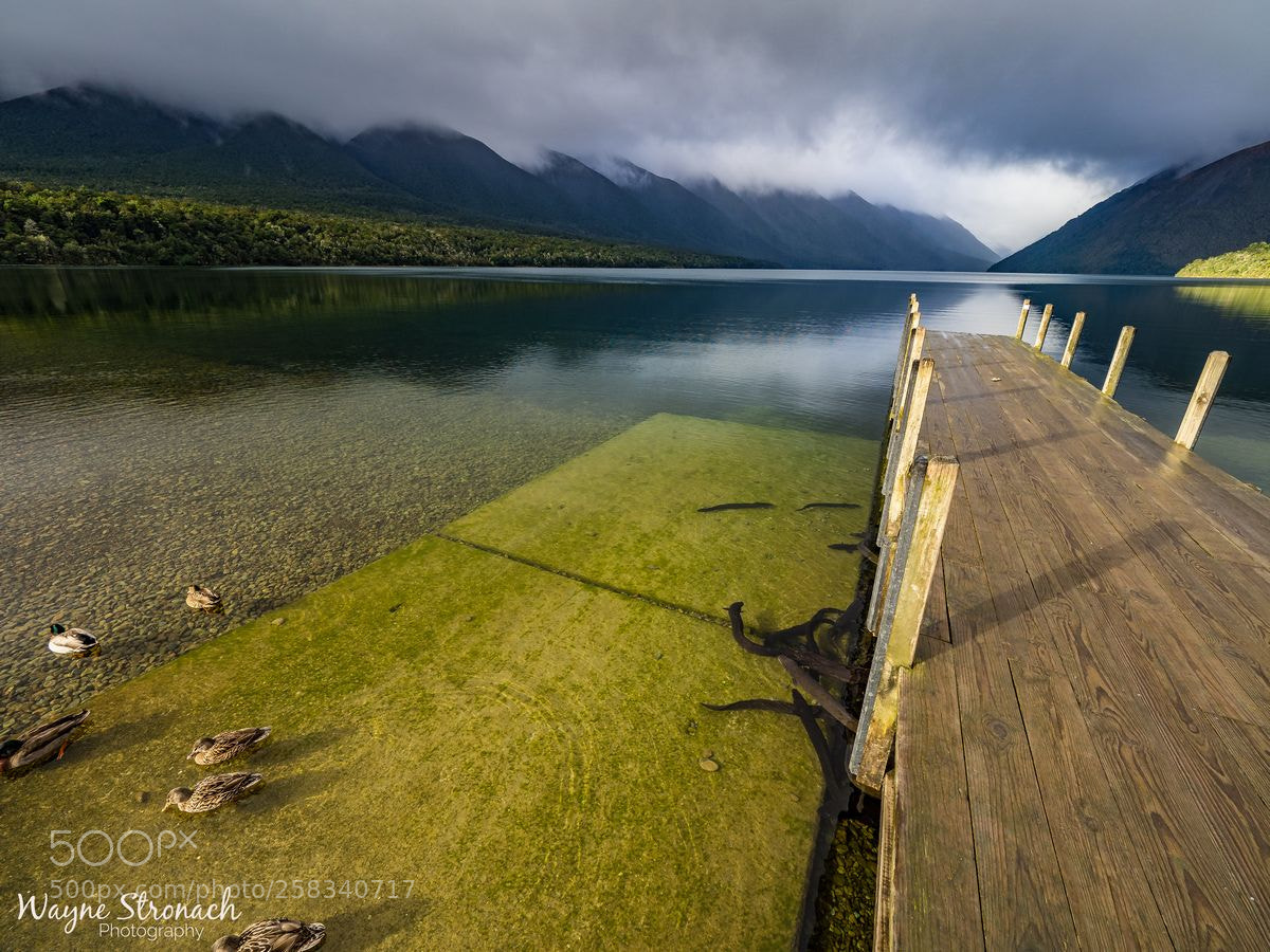 Olympus OM-D E-M10 II sample photo. Rotoiti - waiting to photography