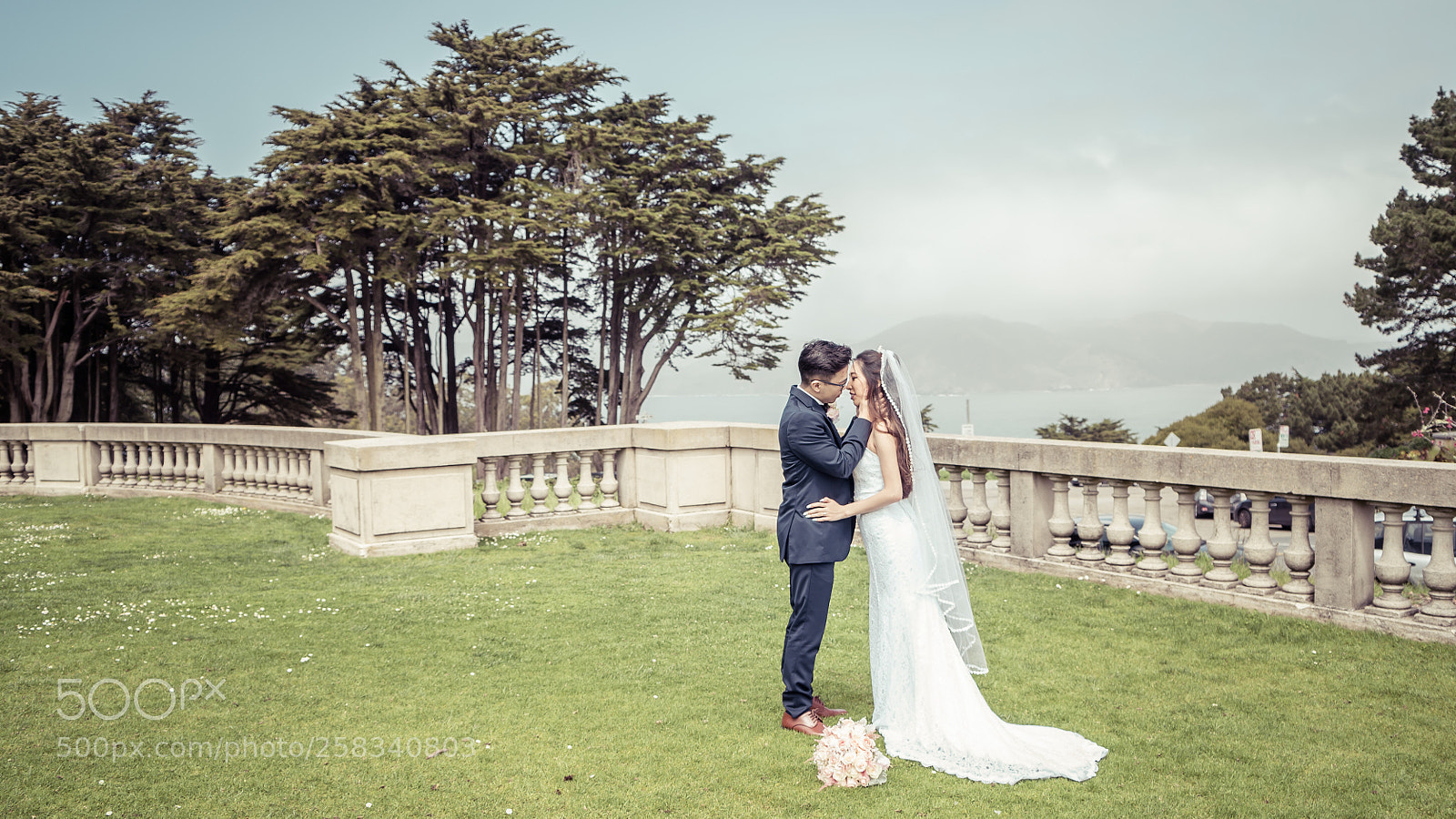Sony a7S II sample photo. Dsc photography