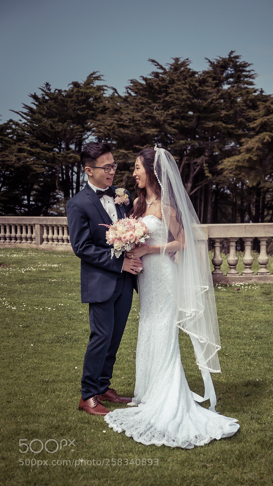 Sony a7S II sample photo. Dsc photography