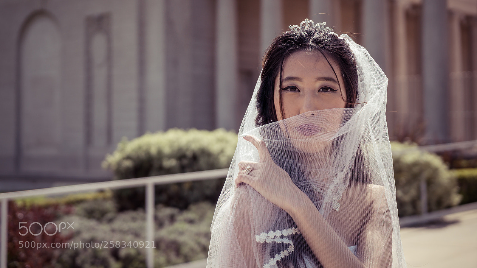 Sony a7S II sample photo. Dsc photography