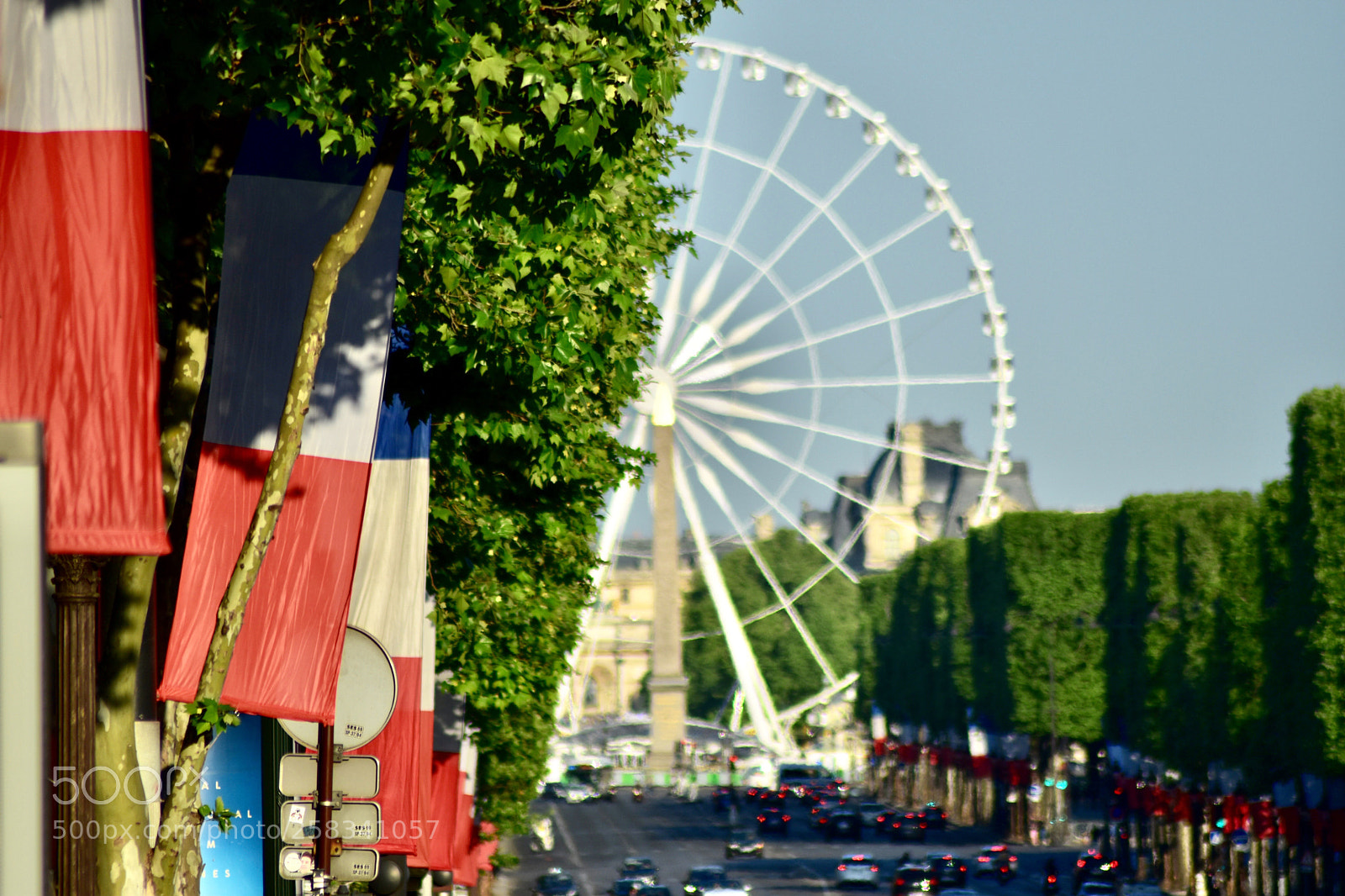 Nikon D5500 sample photo. Aux champs elysées photography