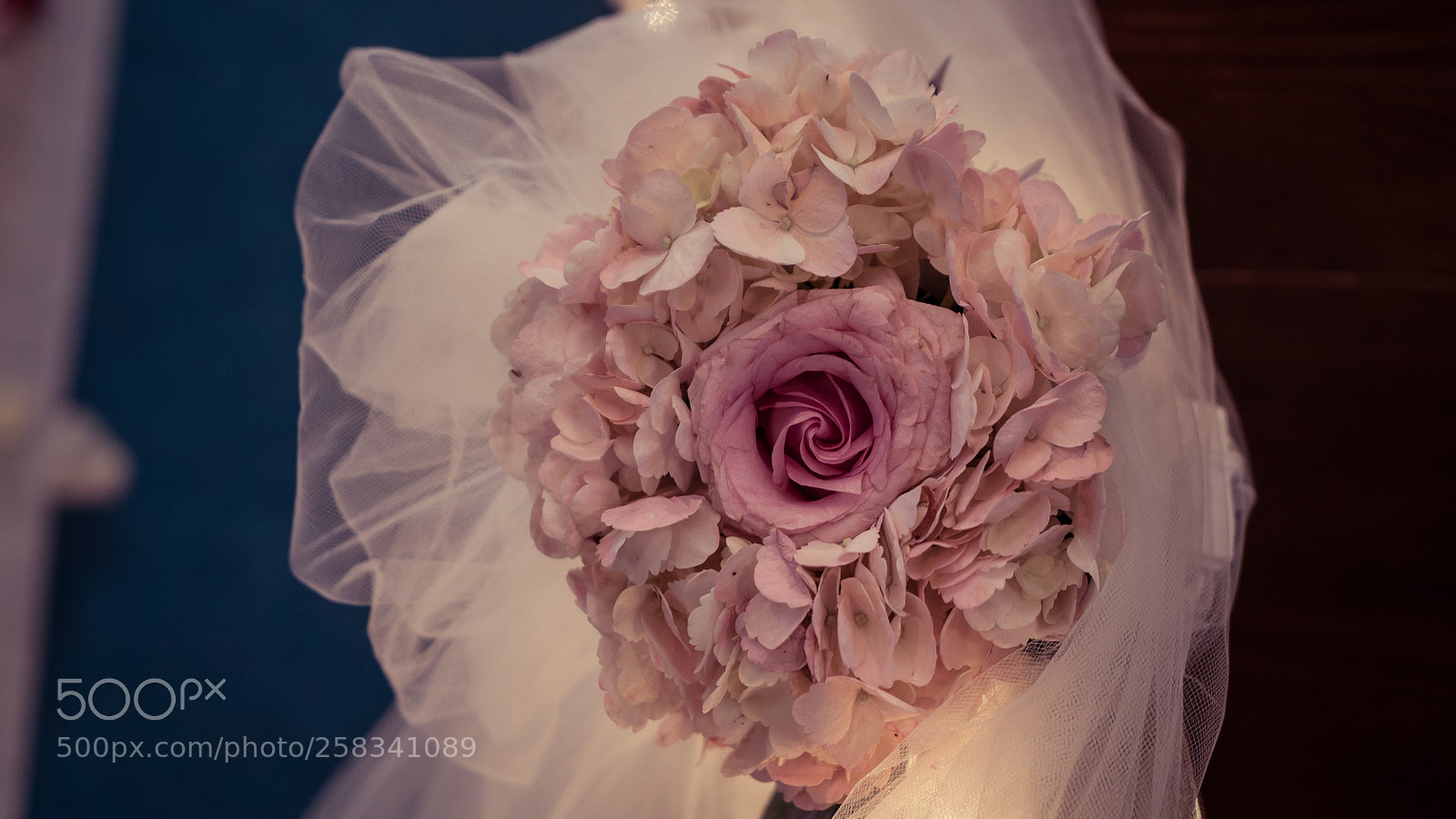 Sony a7S II sample photo. Dsc photography