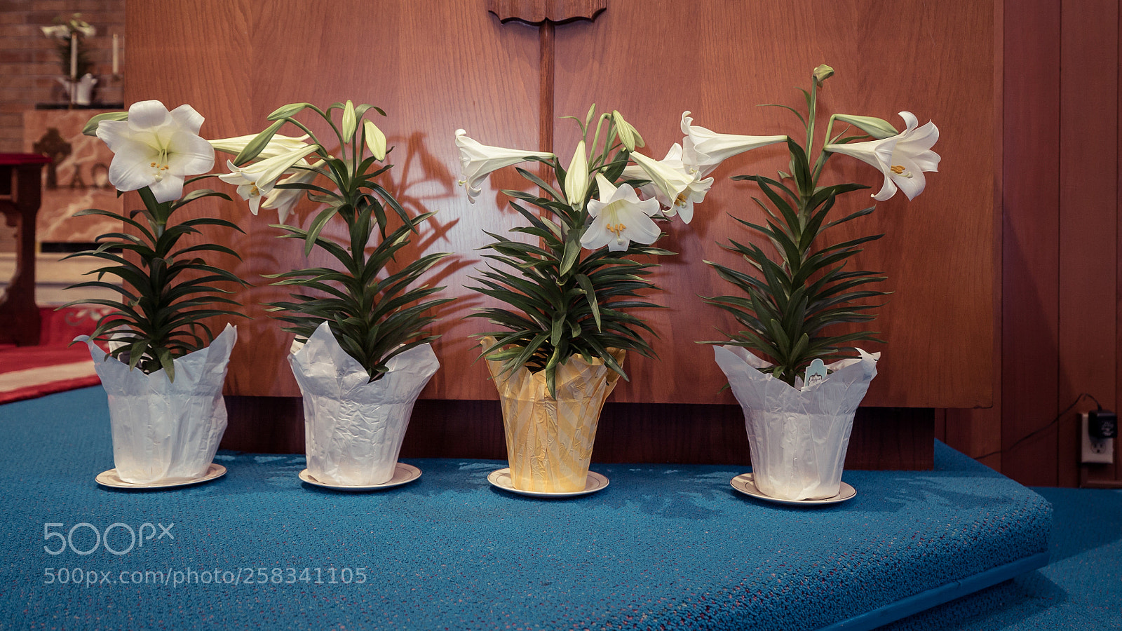 Sony a7S II sample photo. Dsc photography