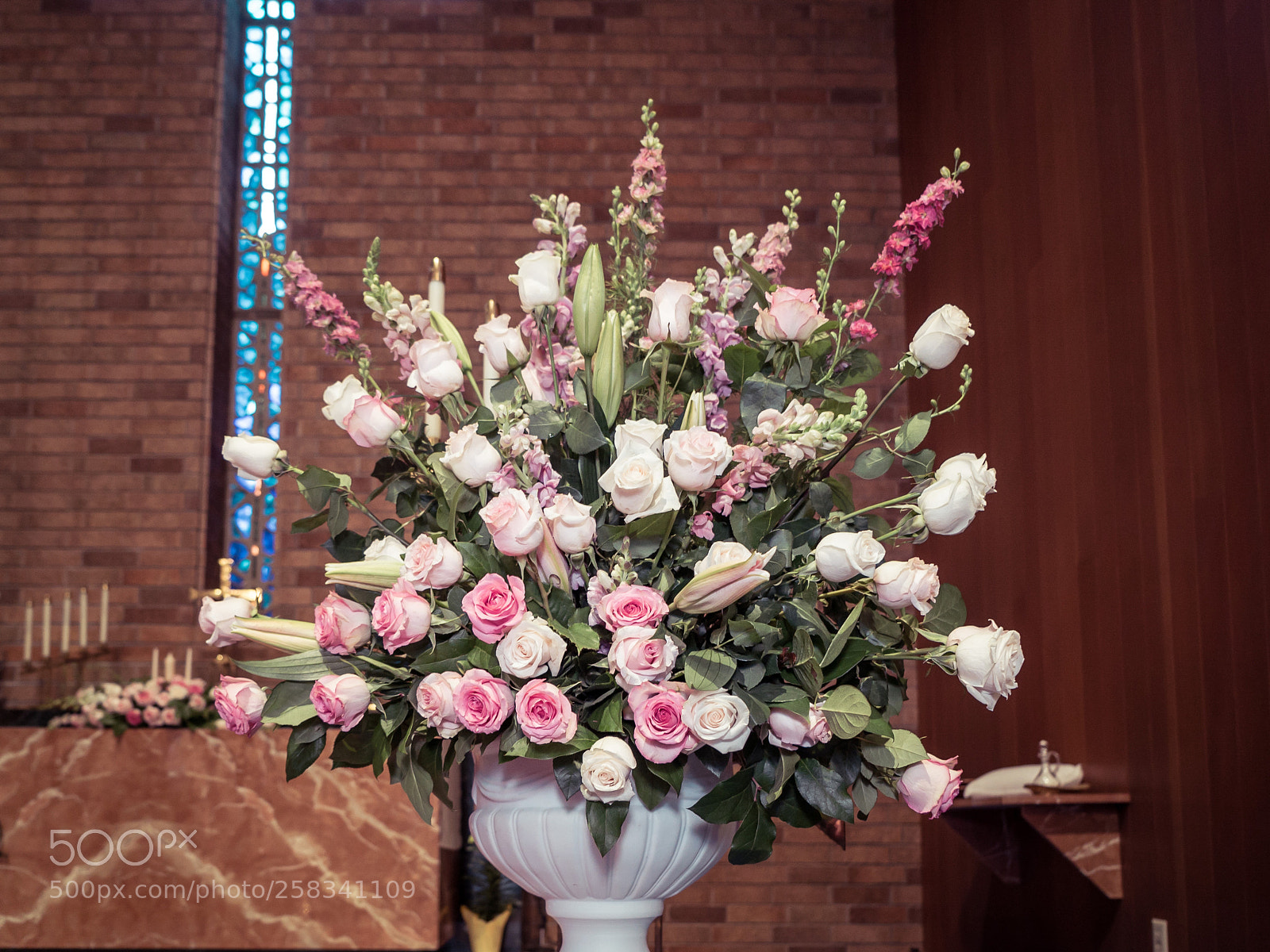 Sony a7S II sample photo. Dsc photography