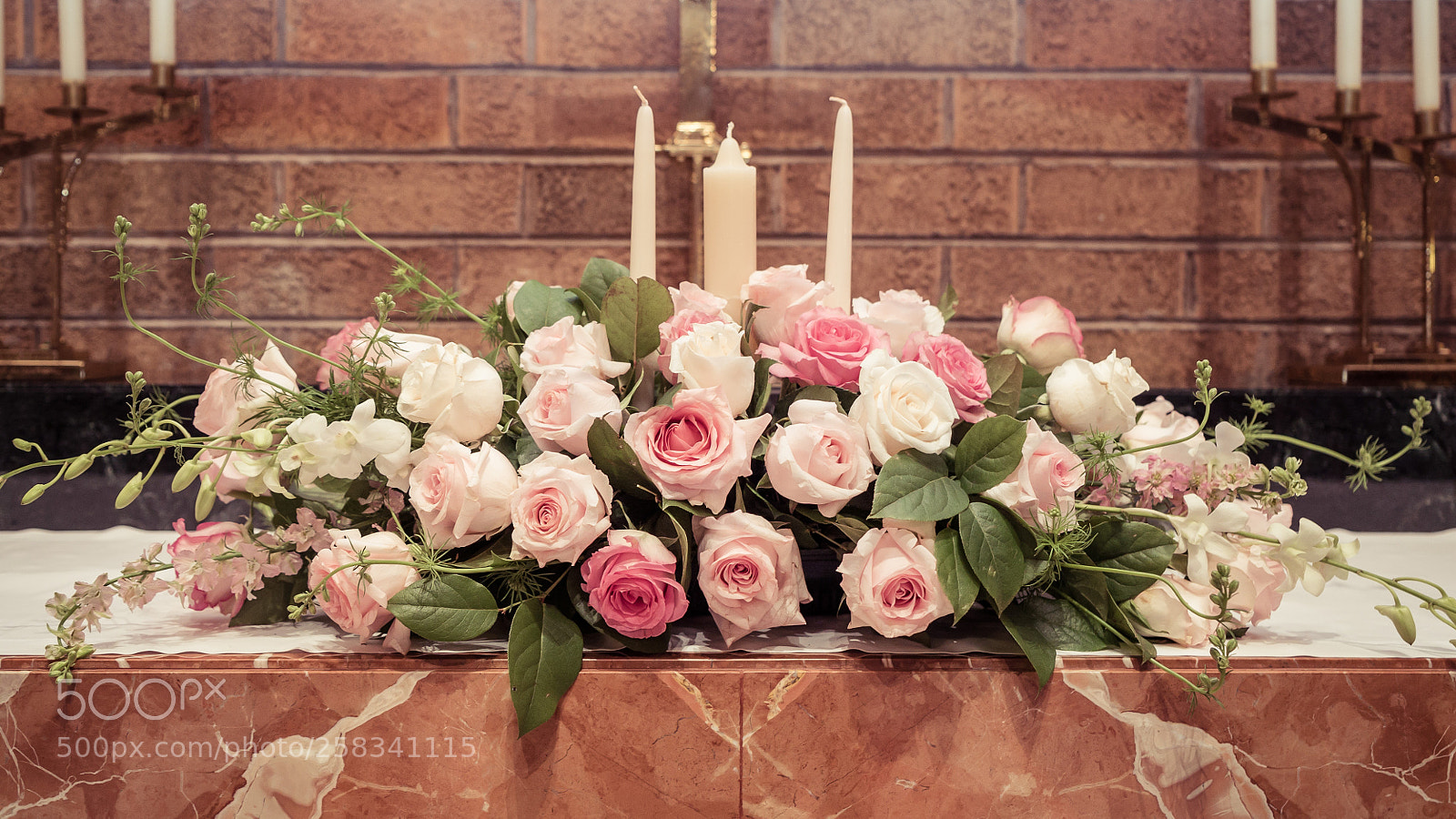 Sony a7S II sample photo. Dsc photography
