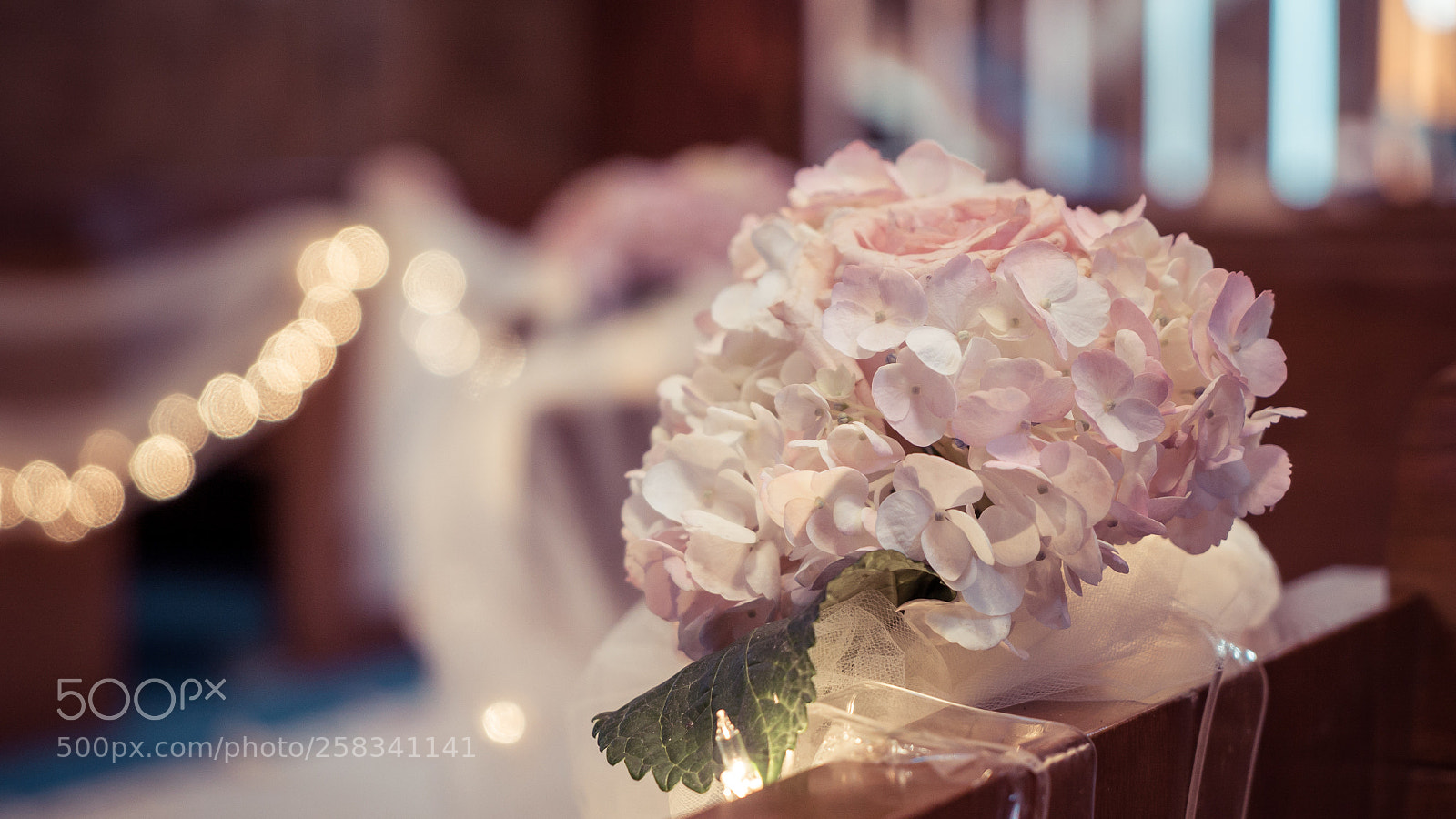 Sony a7S II sample photo. Dsc photography