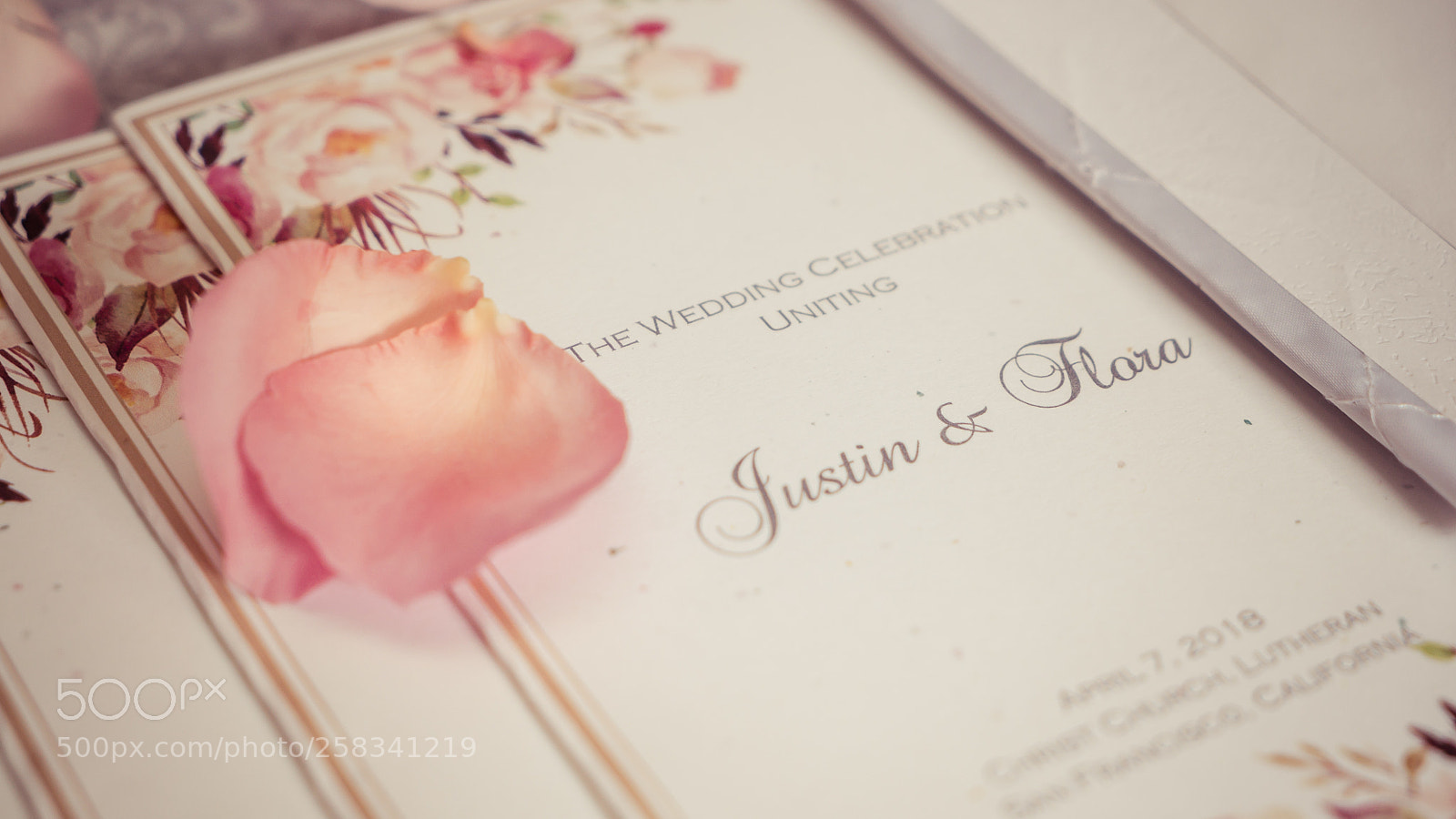 Sony a7S II sample photo. Dsc photography