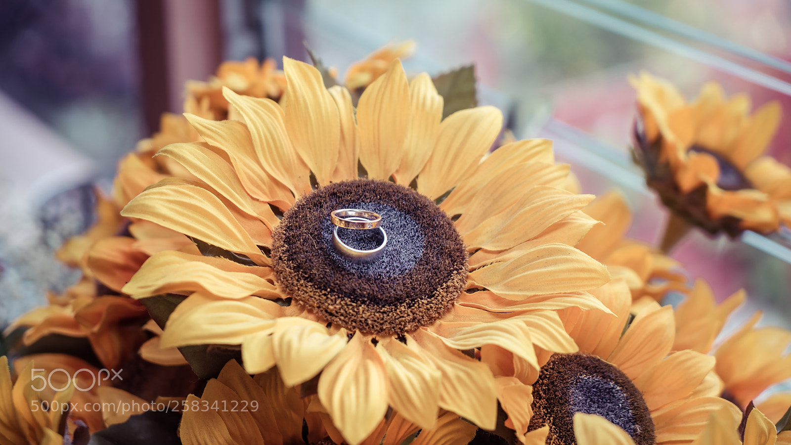 Sony a7S II sample photo. Dsc photography