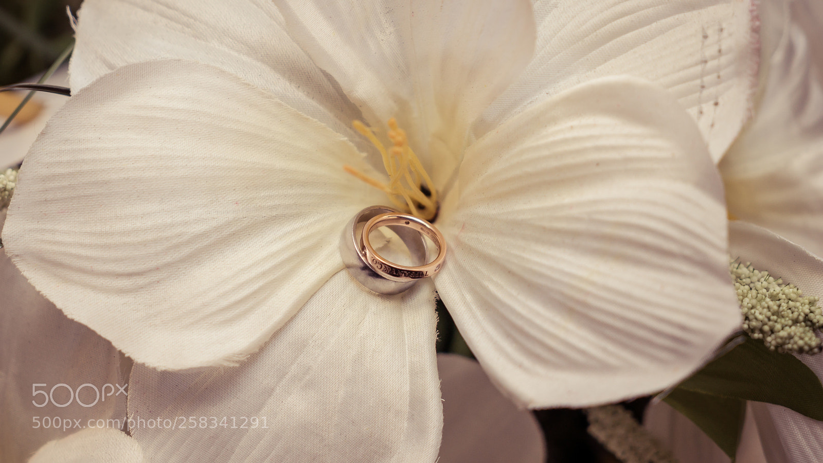 Sony a7S II sample photo. Dsc photography