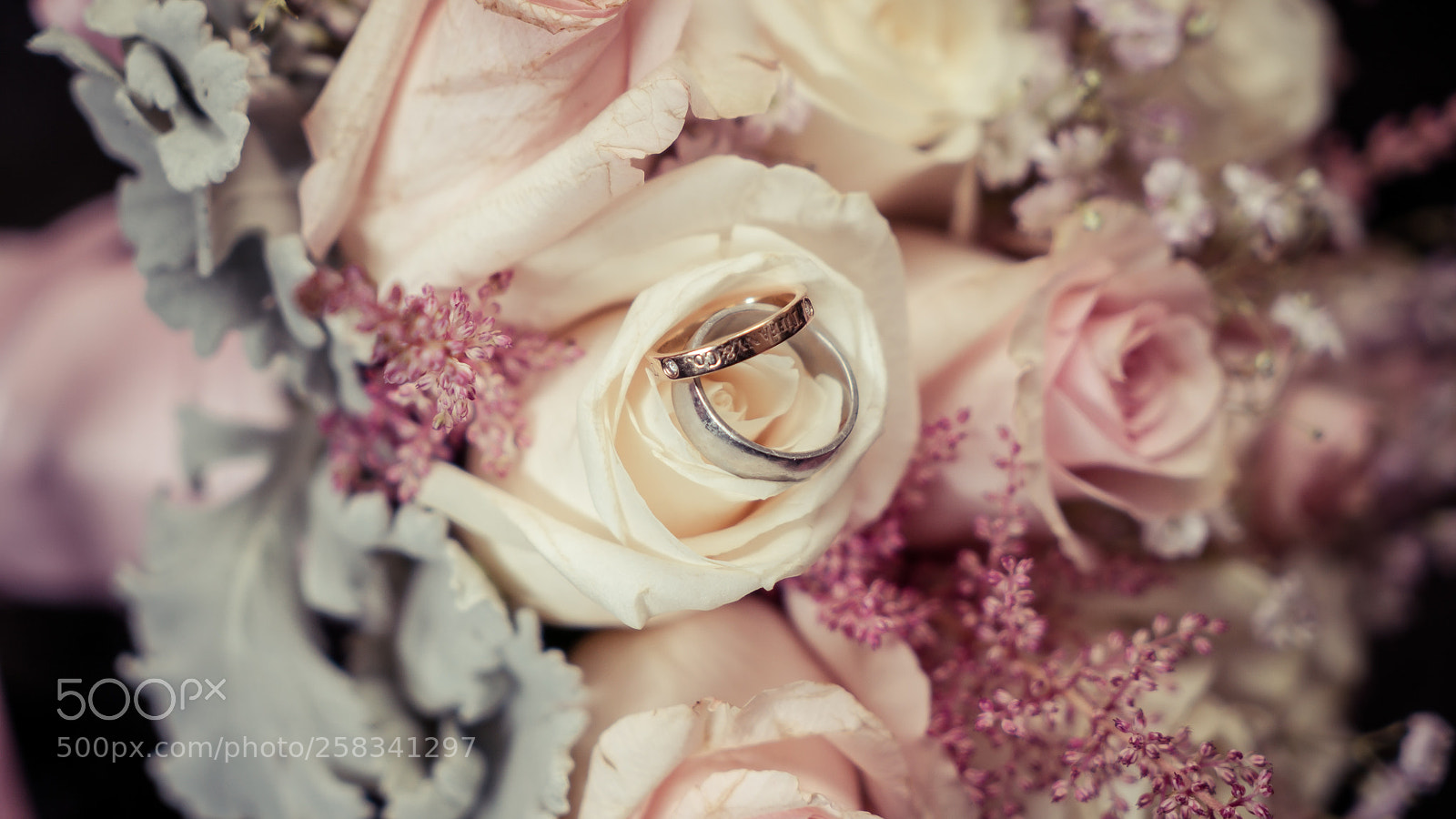 Sony a7S II sample photo. Dsc photography