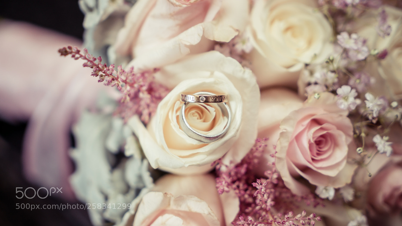 Sony a7S II sample photo. Dsc photography