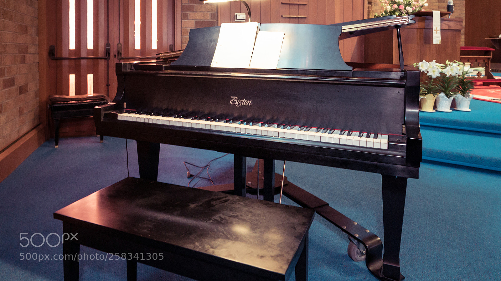 Sony a7S II sample photo. Dsc photography