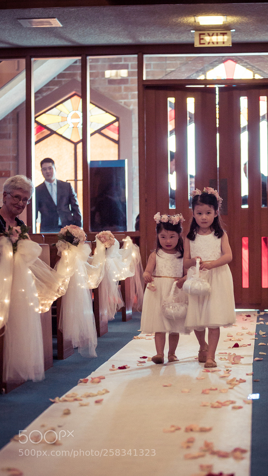 Sony a7S II sample photo. Dsc photography