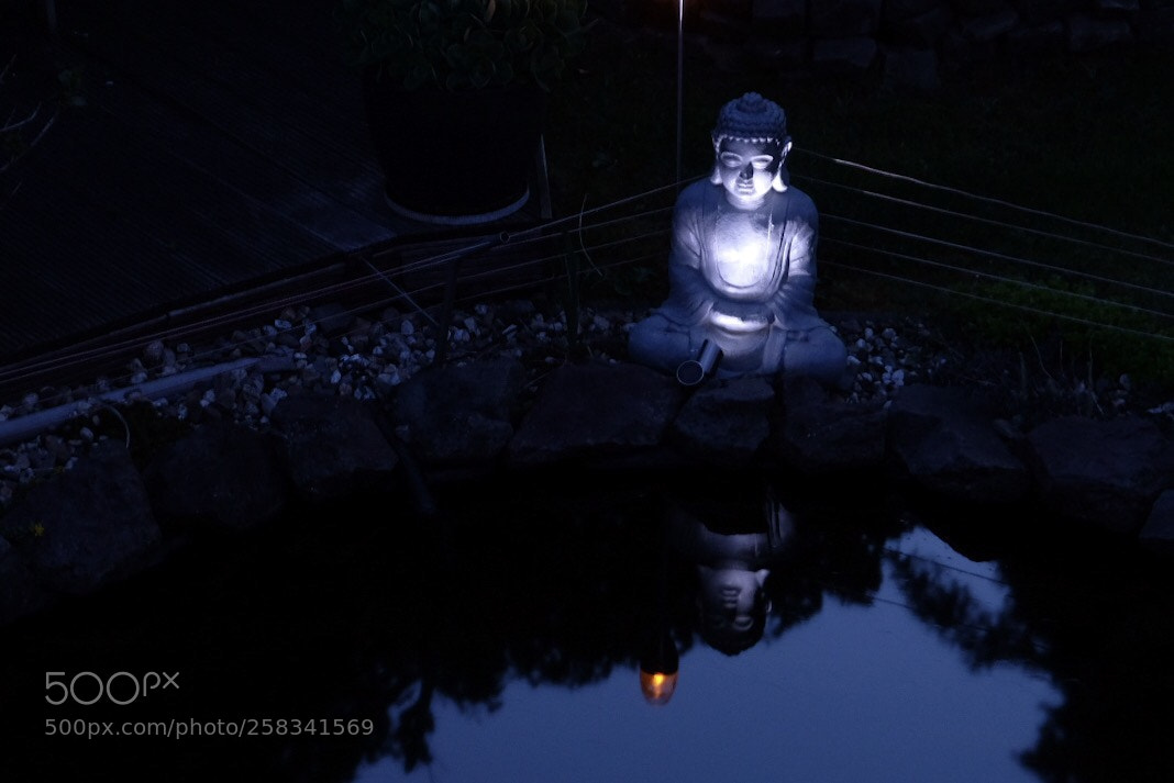 Fujifilm X-T20 sample photo. Untitled photography