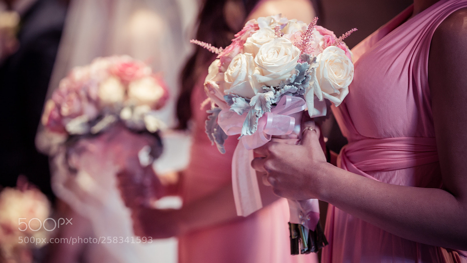 Sony a7S II sample photo. Dsc photography