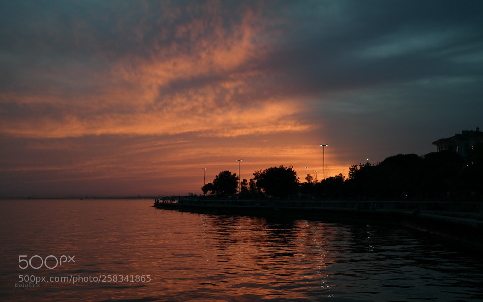 Samsung NX300 sample photo. ... photography