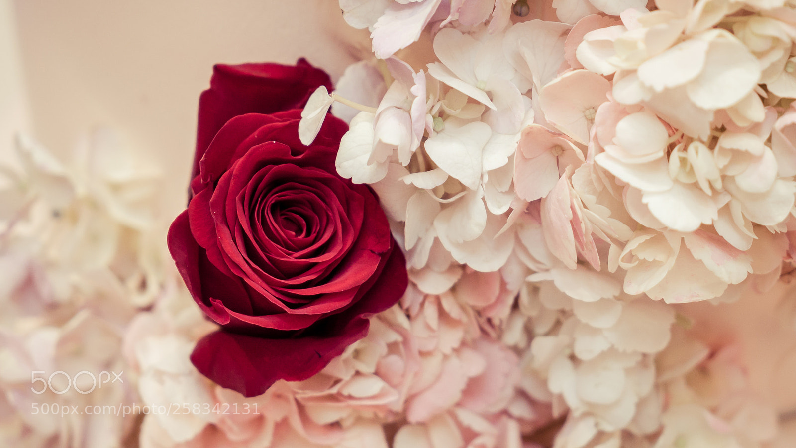 Sony a7S II sample photo. Dsc photography