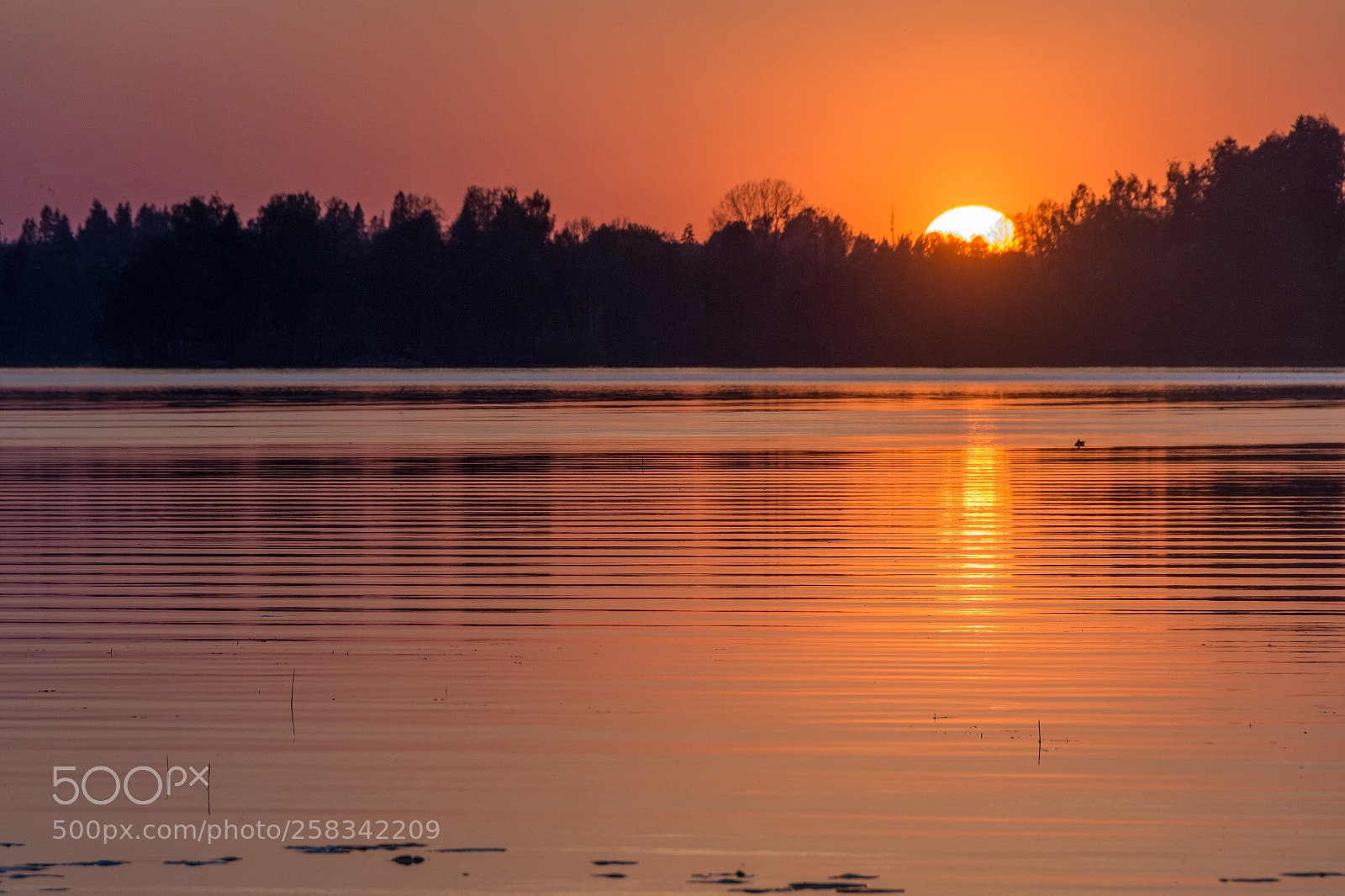 Nikon D7200 sample photo. Sunset photography