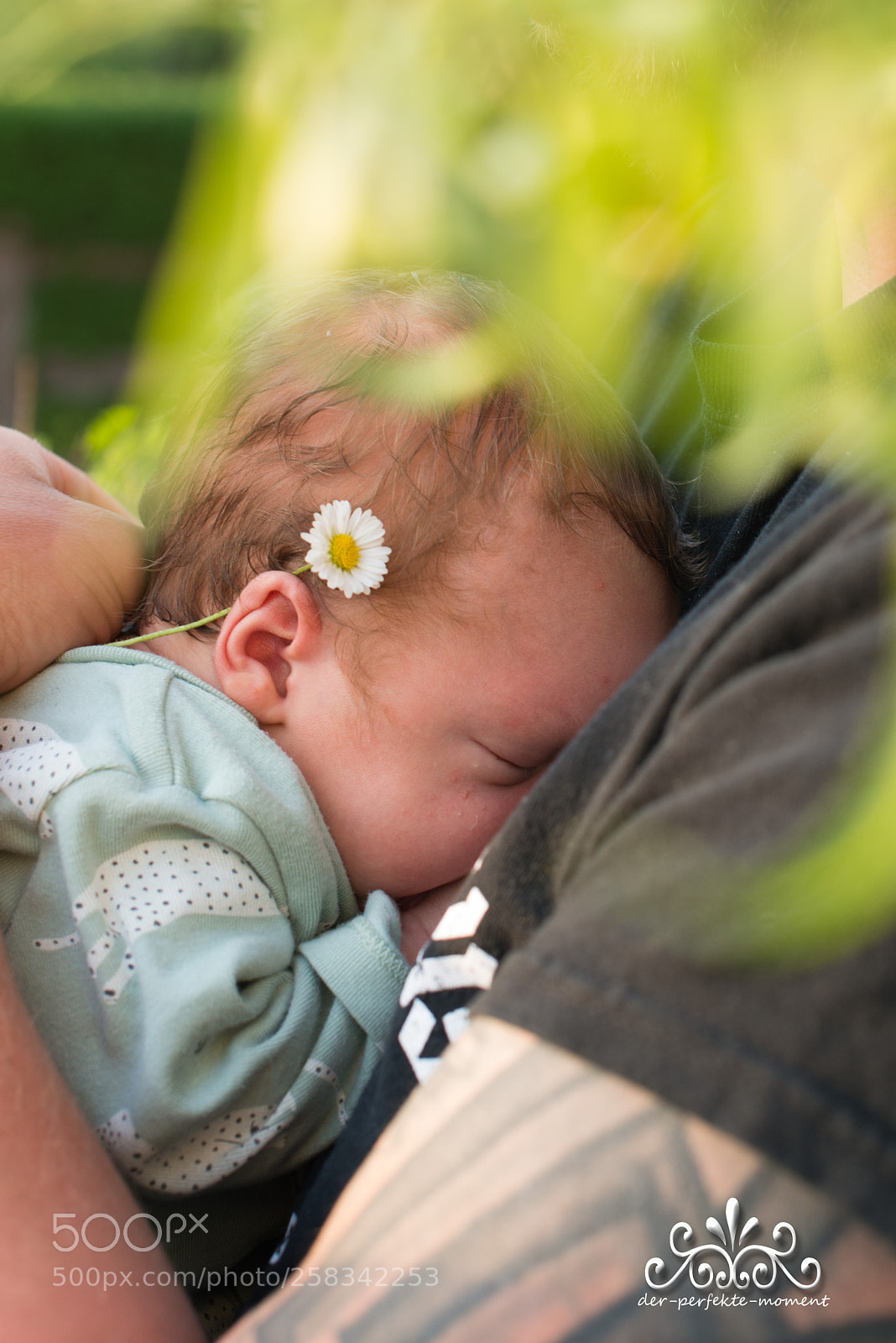 Nikon D800E sample photo. So cute photography