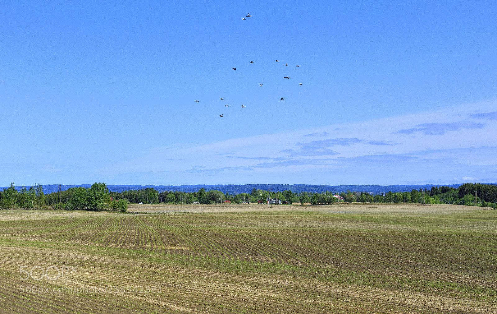 Canon EOS 6D sample photo. Country side photography