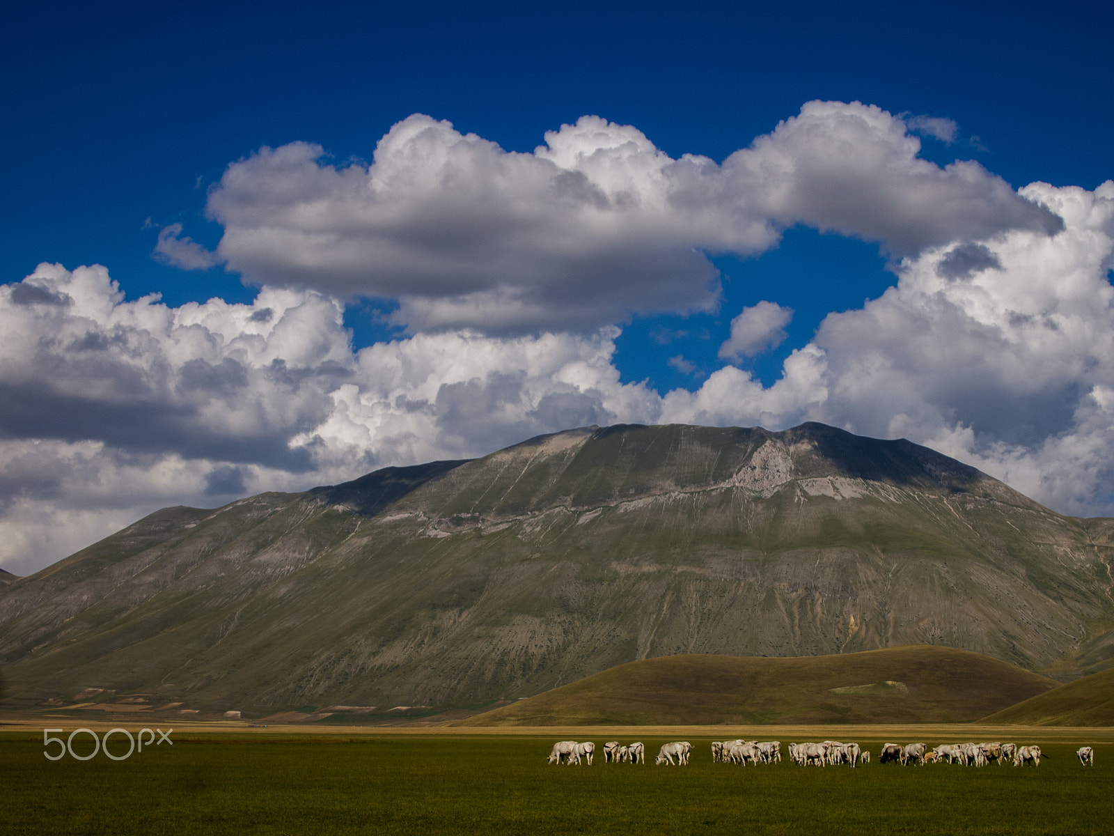 Olympus PEN E-PL1 sample photo. Casteluccio photography